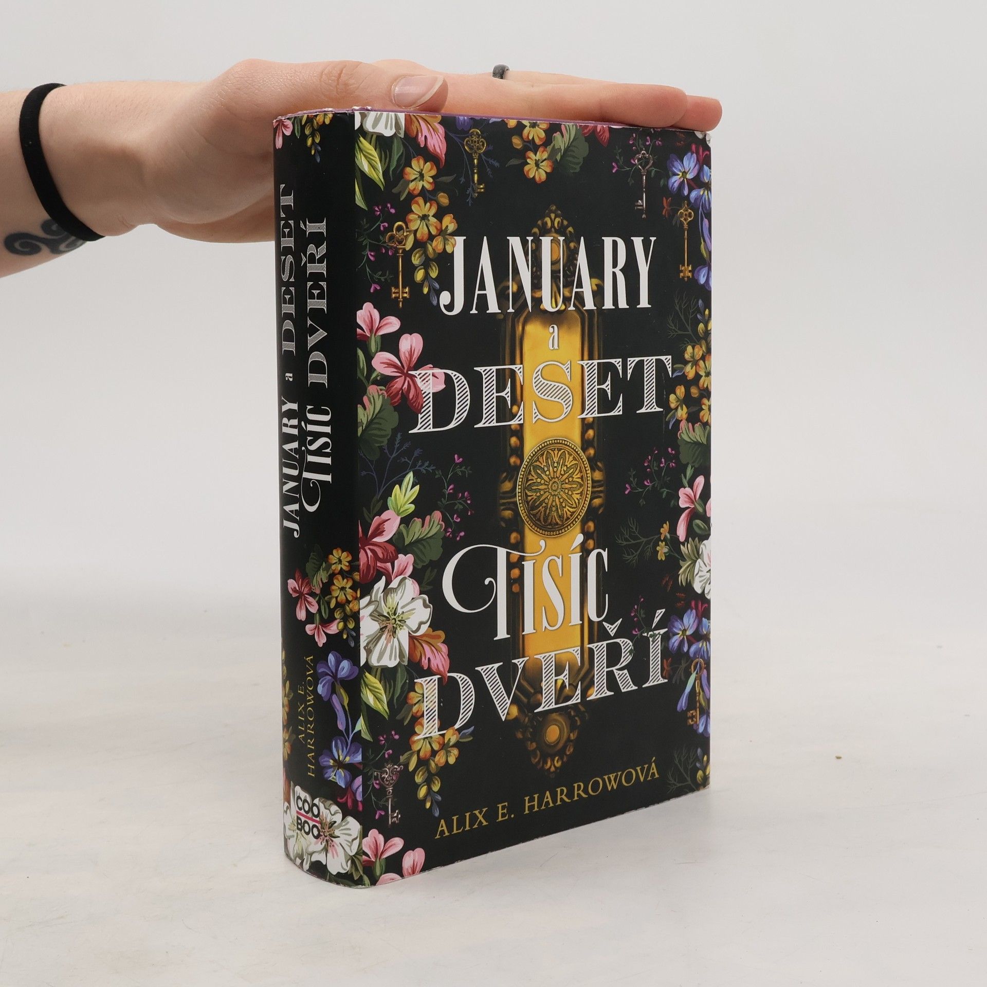Alix E. Harrow January a Deset tisíc dveří