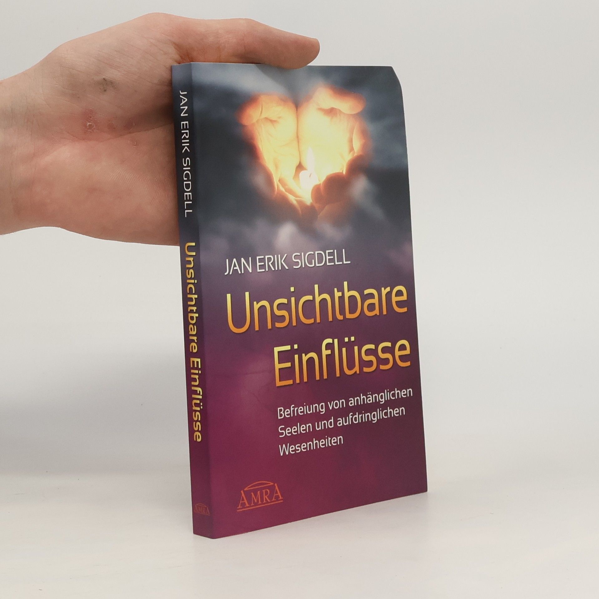 Jan Erik Sigdell Unsichtbare Einflüsse