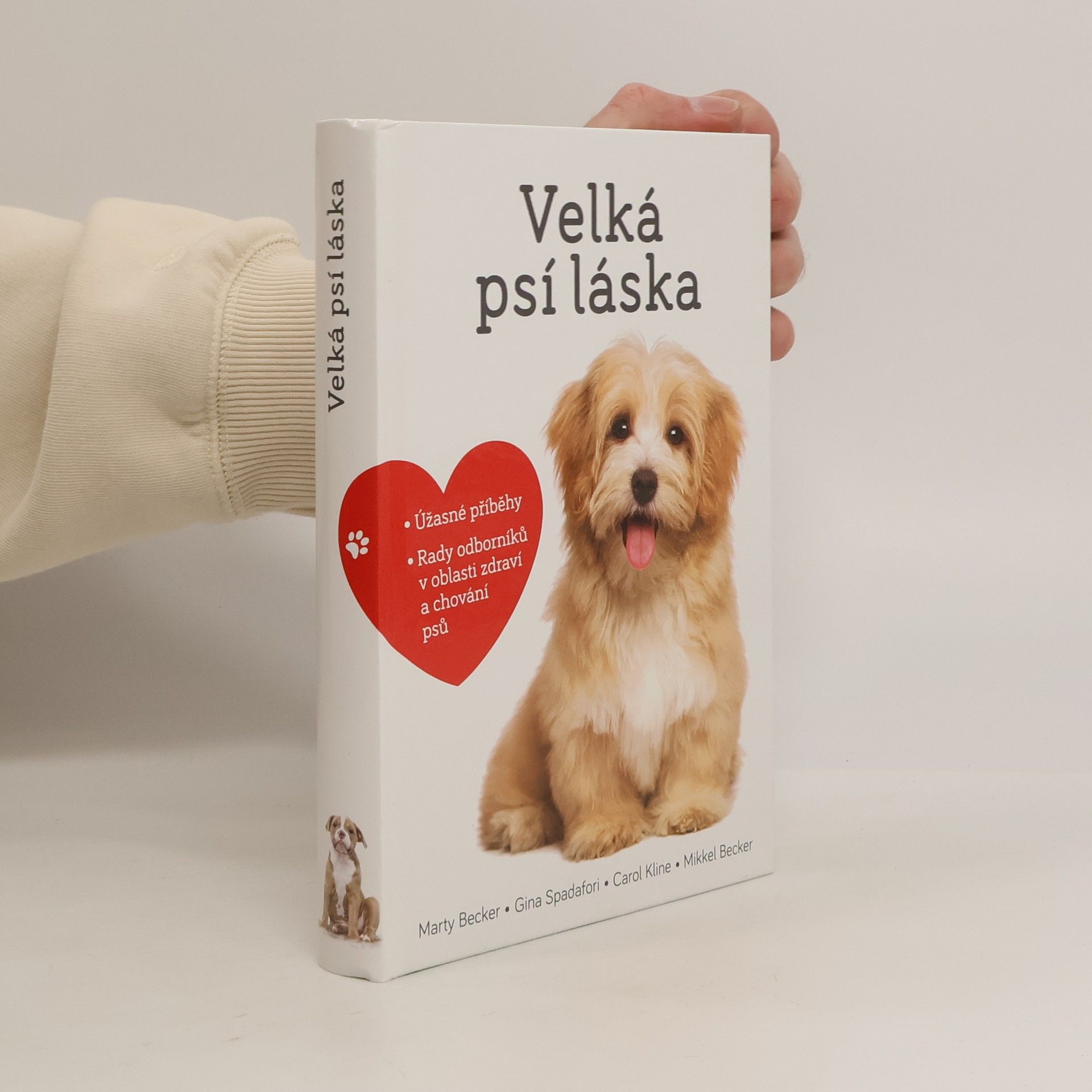 Marty Becker Velká psí láska: Příběhy, rady a úžasné fotografie psích bytostí