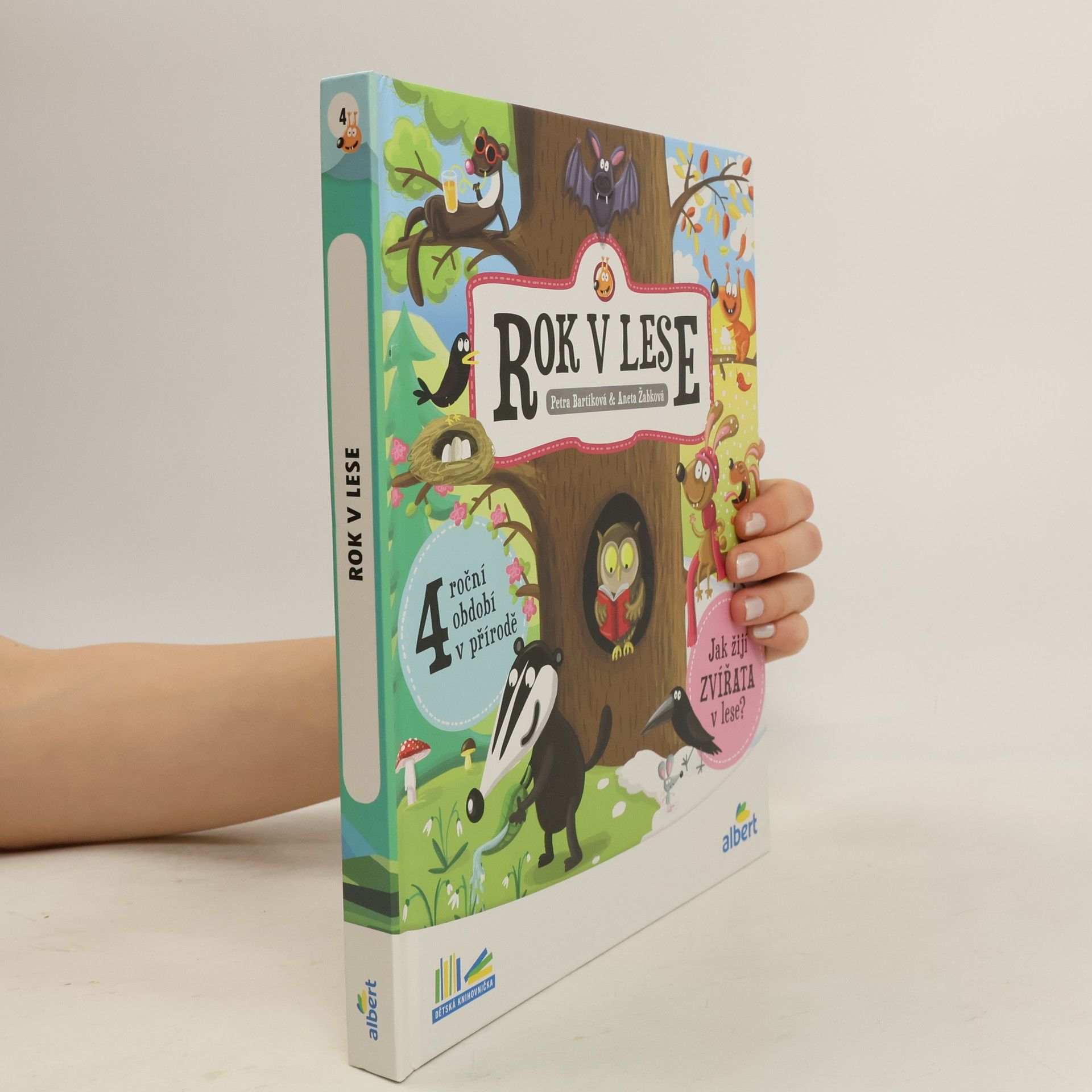 Kolektiv autorů Rok v lese