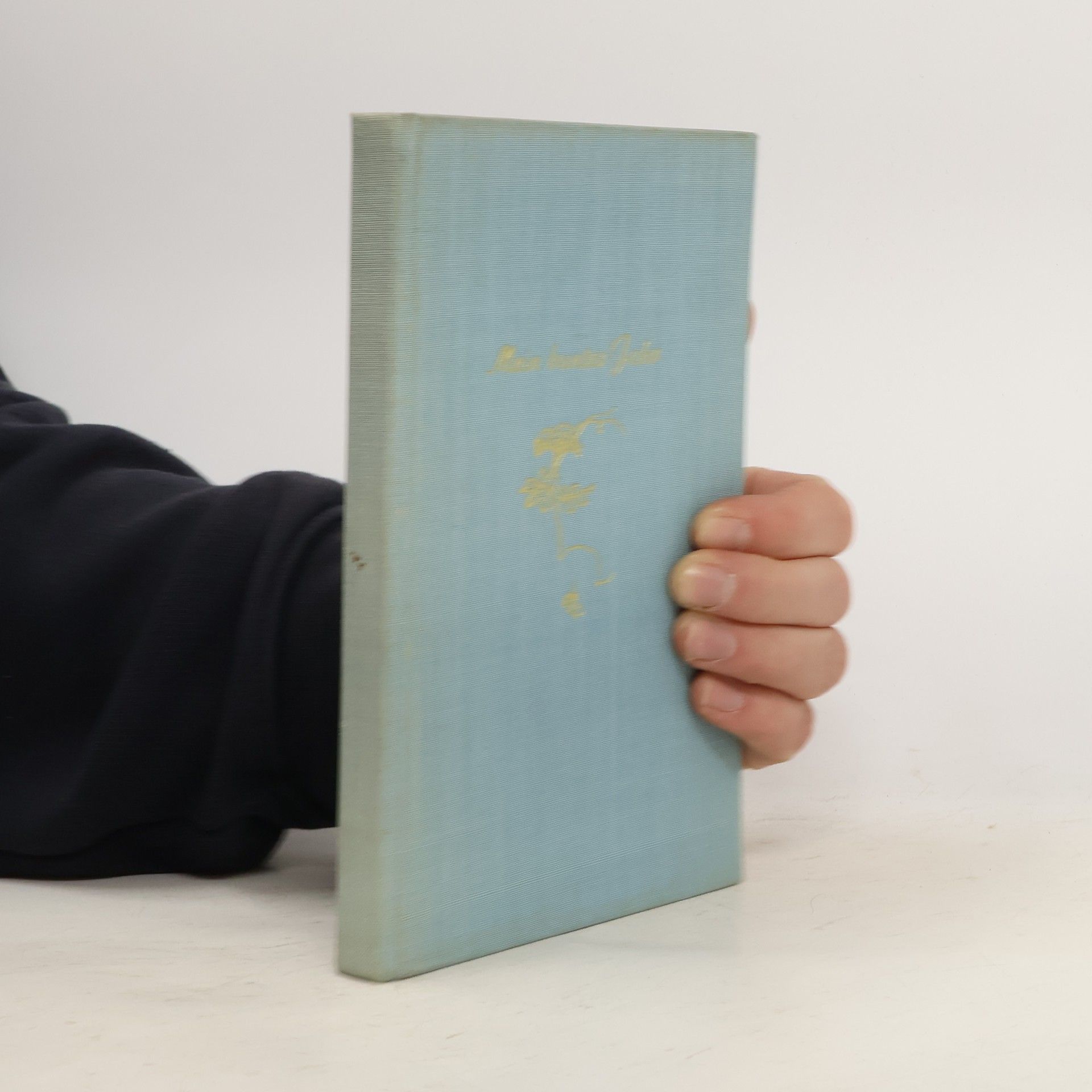 Anna Laehmann Mein buntes Jahr