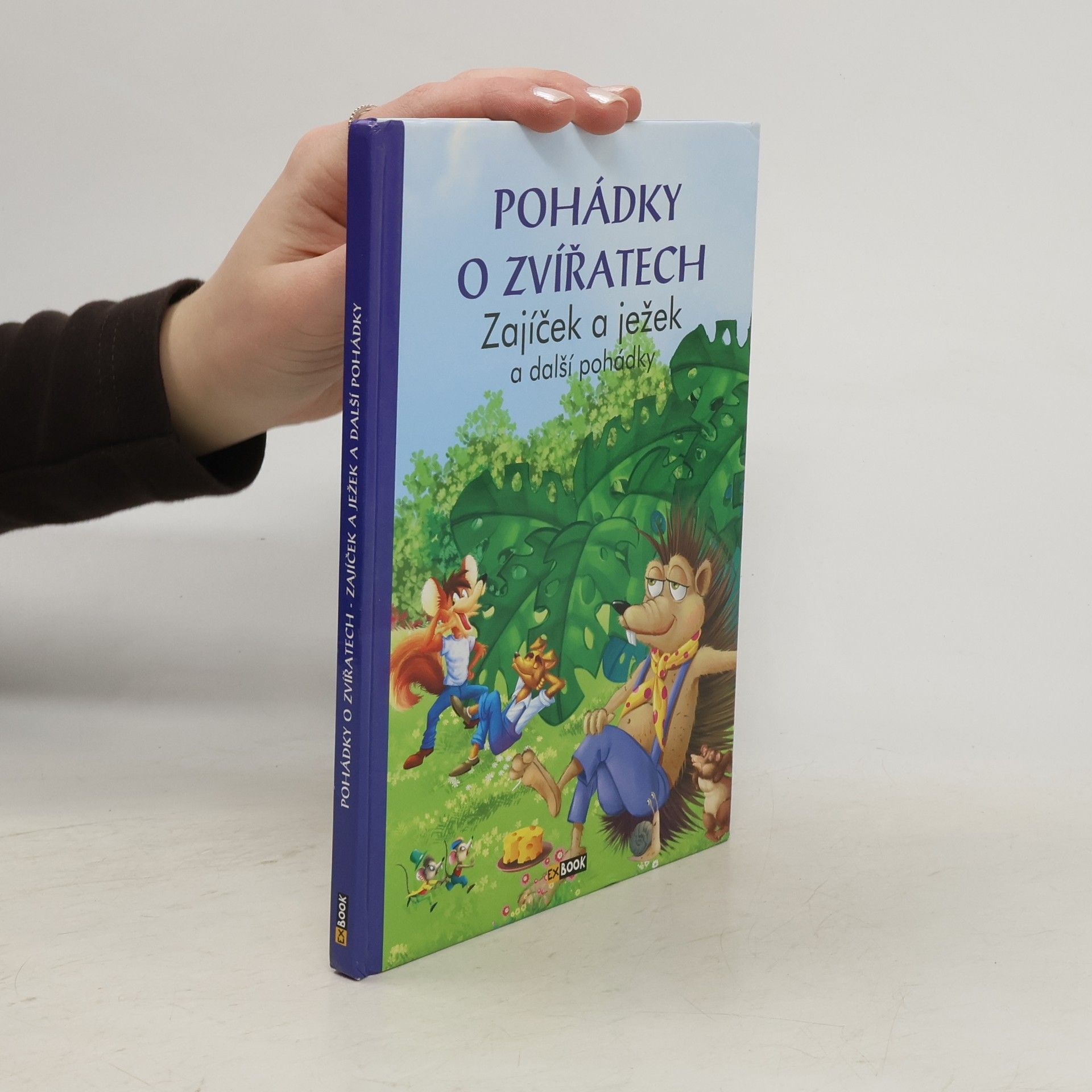 Autorenkollektiv Zajíček a ježek a další pohádky