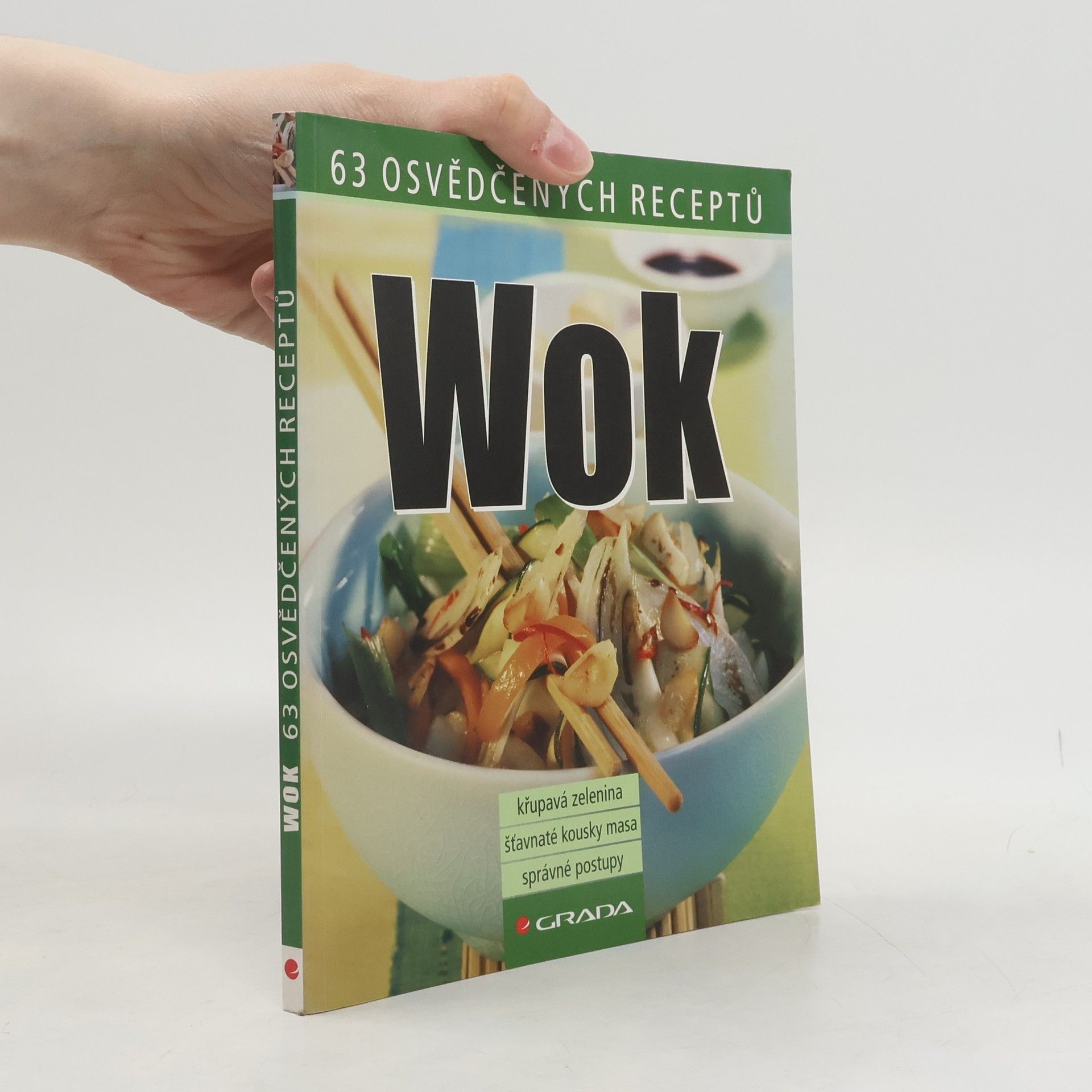 Kolektív autorov Wok - 63 osvědčených receptů
