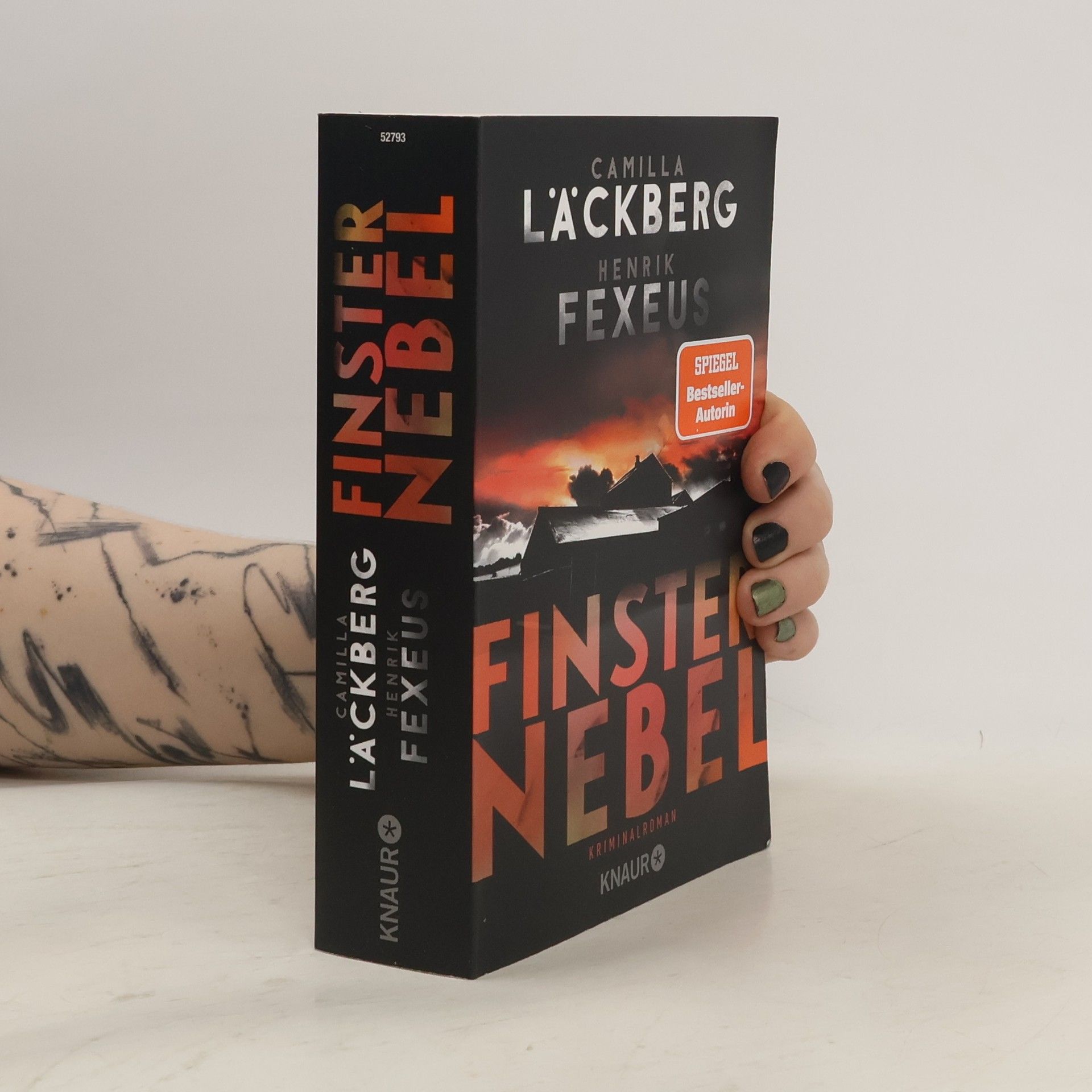 Finsternebel / Dabiri Walder Bd.2