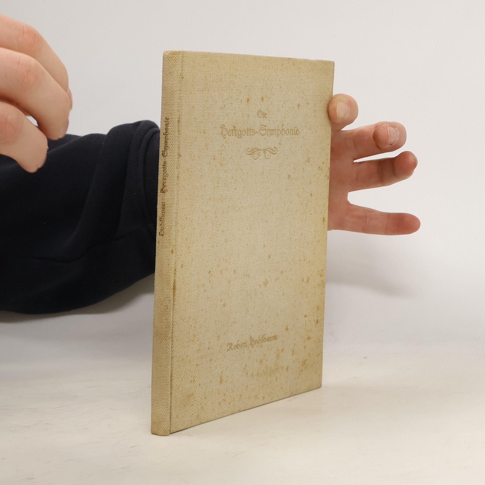 Robert Hohlbaum Die Herrgotts-Symphonie