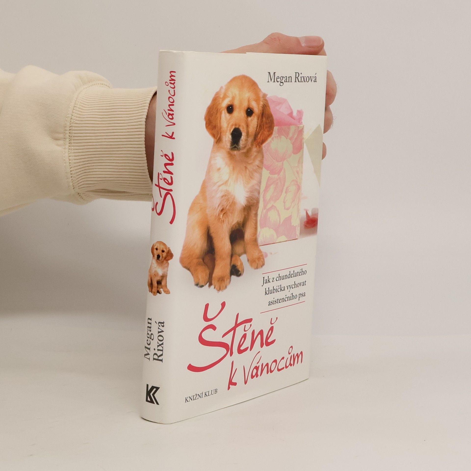 Megan Rix Štěně k Vánocům