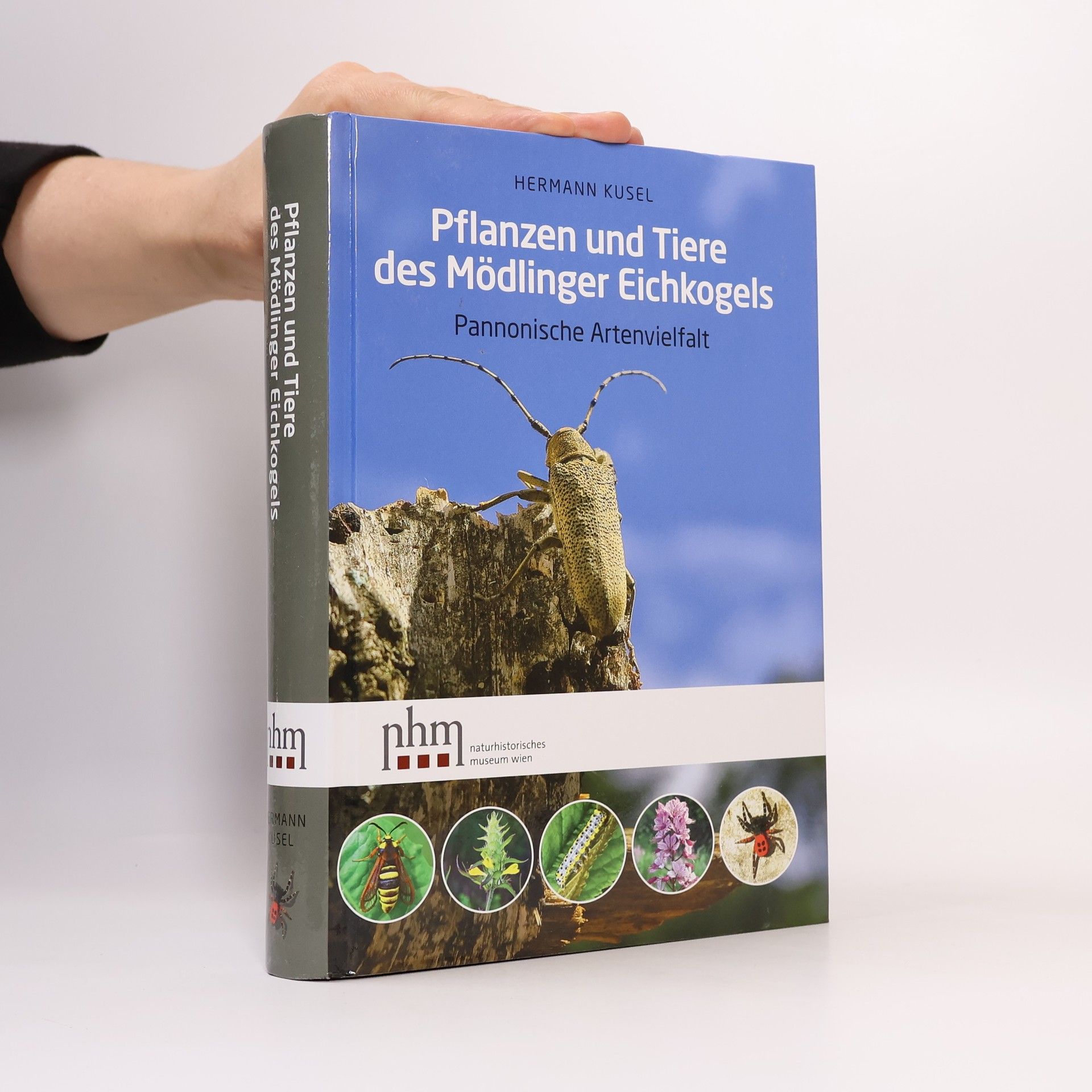 Hermann Kusel Pflanzen und Tiere des Mödlinger Eichkogels