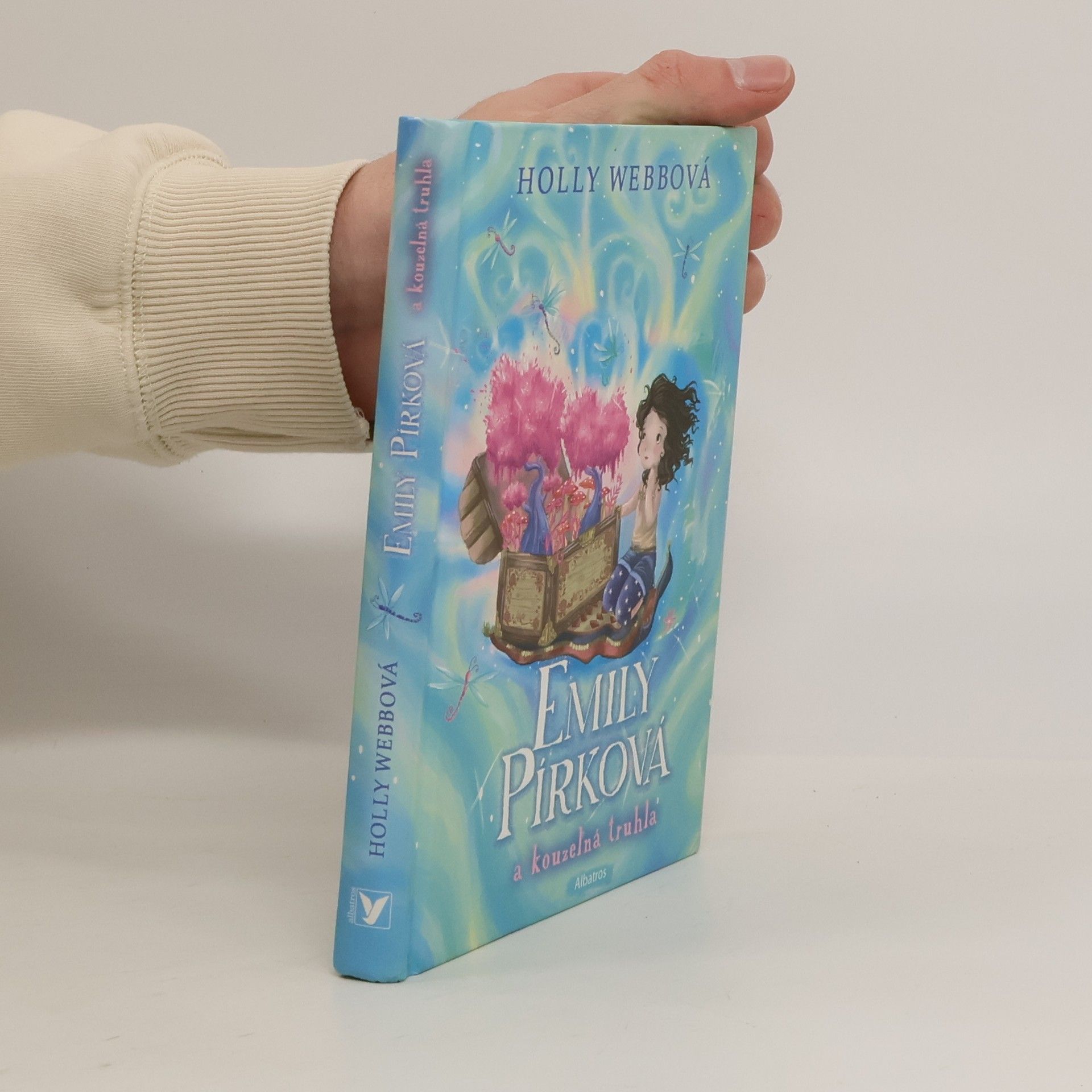 Holly Webb Emily Pírková a kouzelná truhla