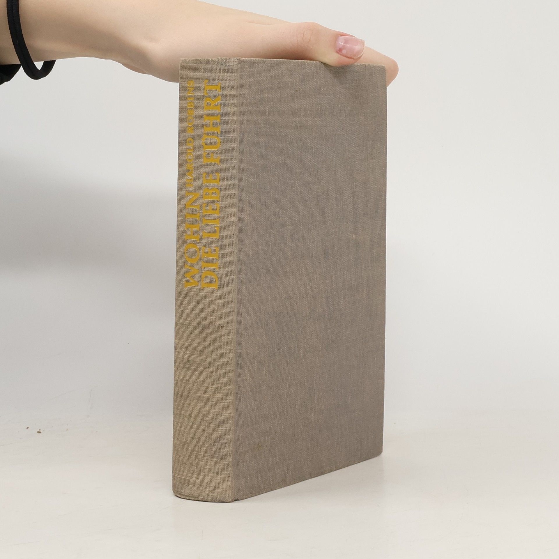 Harold Robbins Wohin die Liebe führt