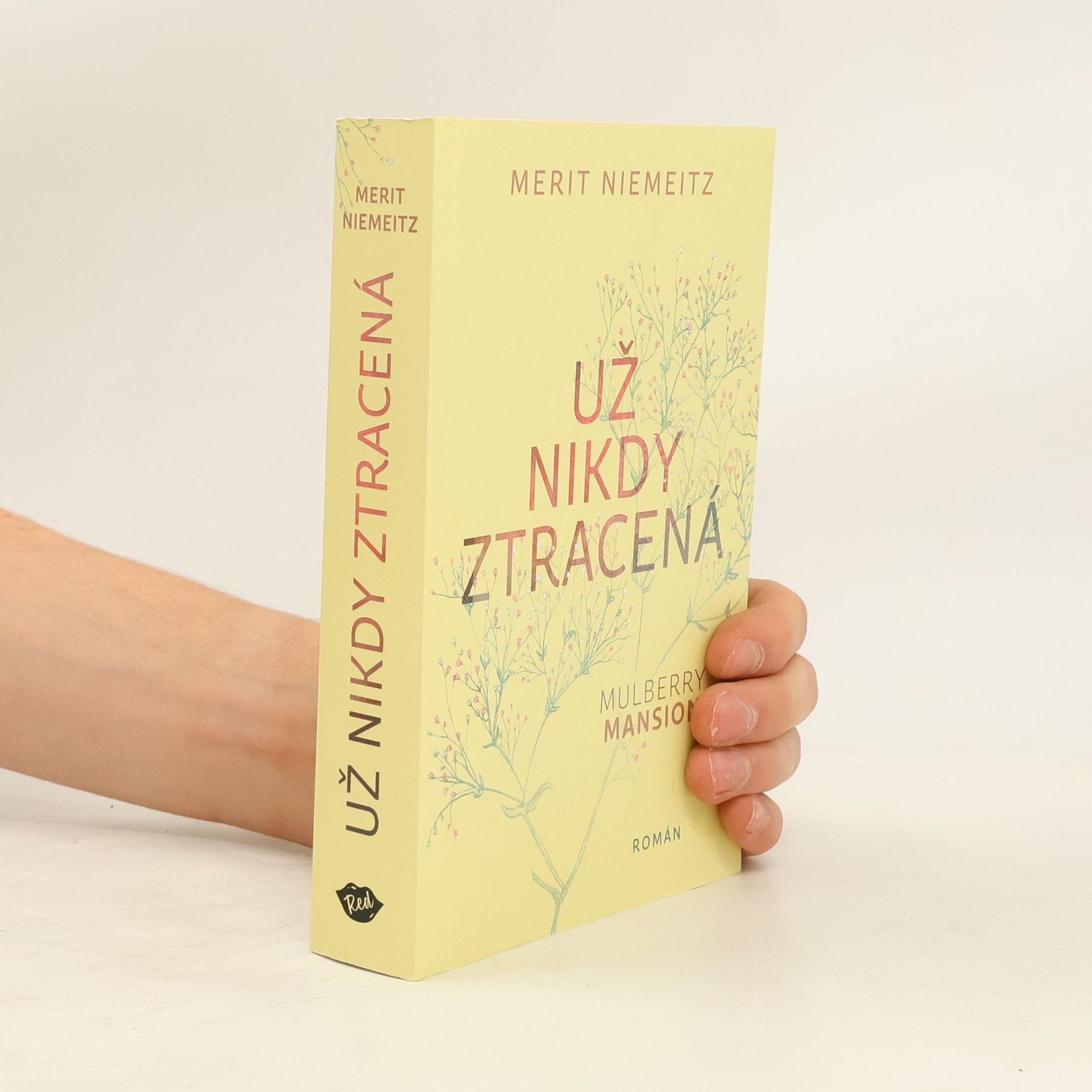 Merit Niemeitz Už nikdy ztracená