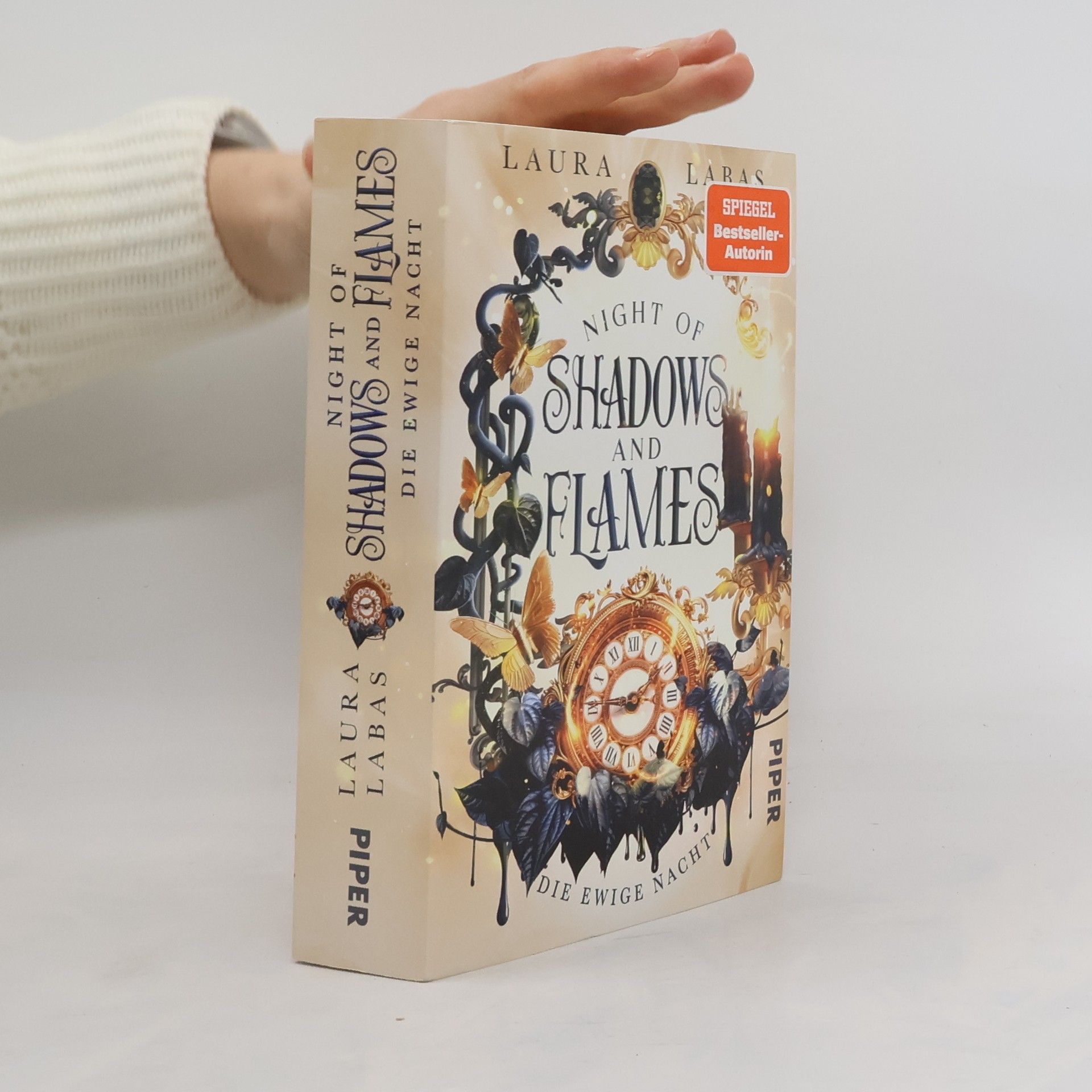 Laura Labas Die Ewige Nacht / Night of Shadows and Flames Bd.2