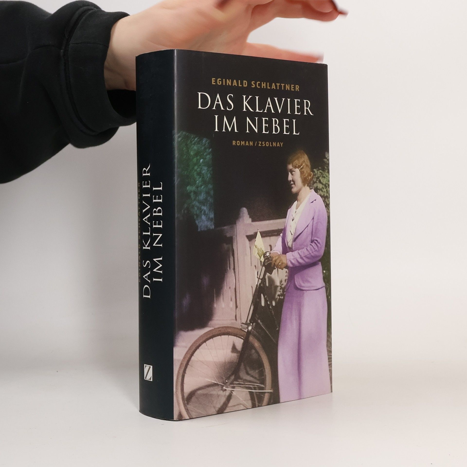 Eginald Schlattner Das Klavier im Nebel