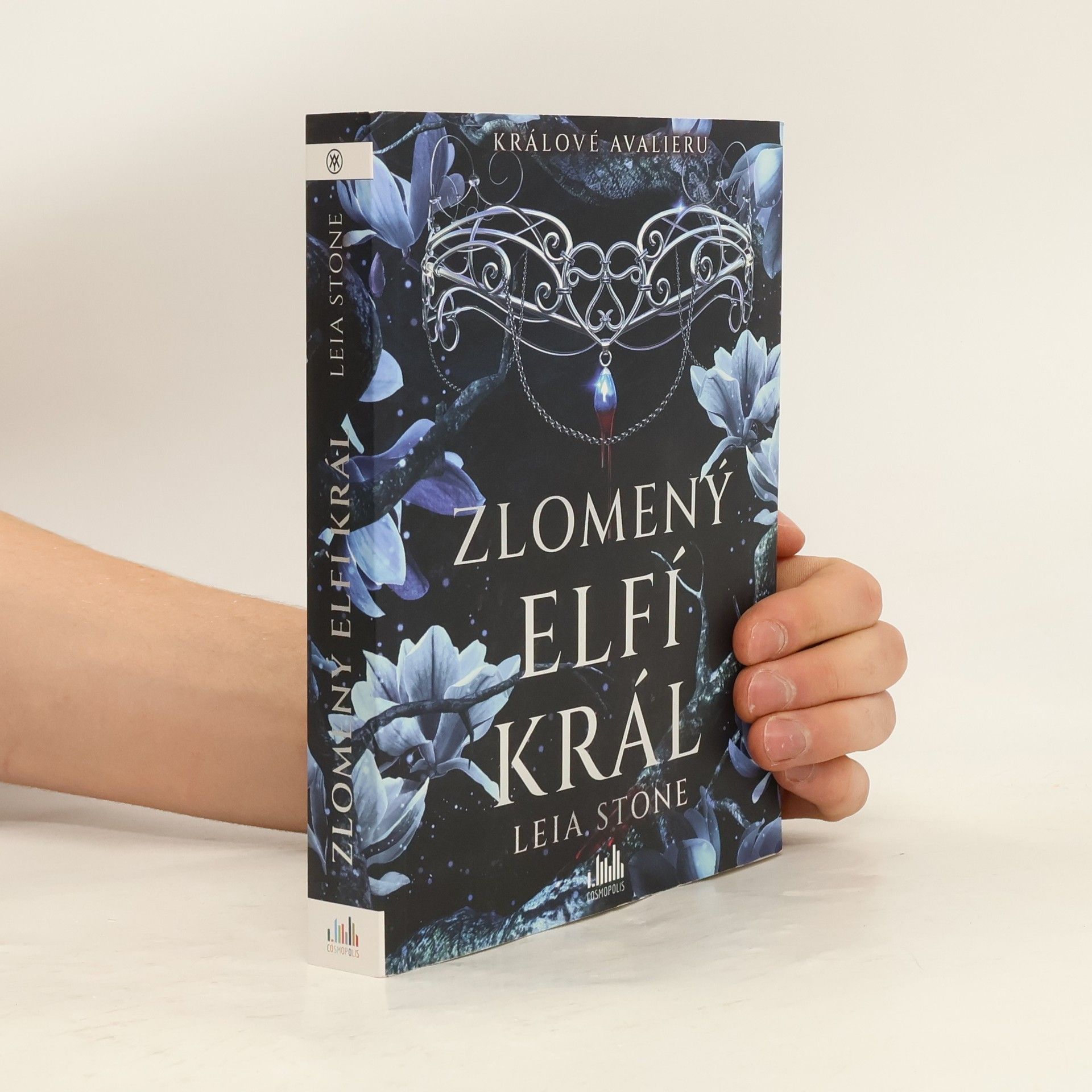 Leia Stone Zlomený elfí král