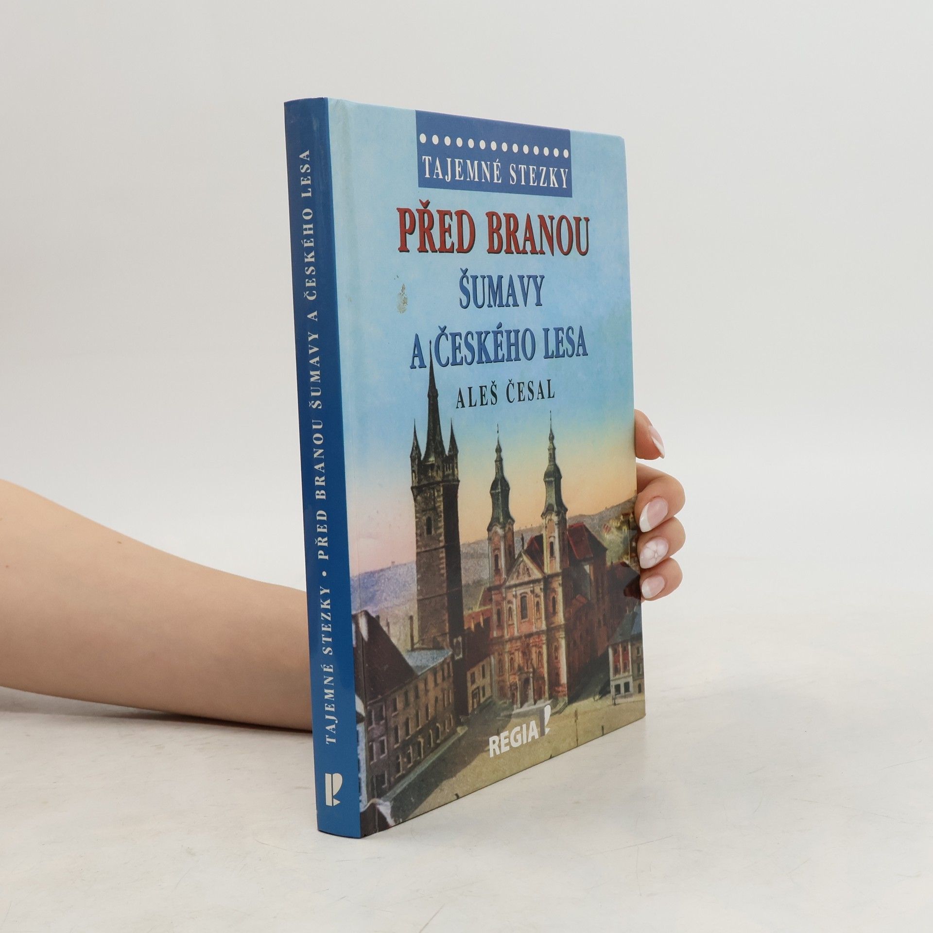 Aleš Česal Před branou Šumavy a Českého lesa