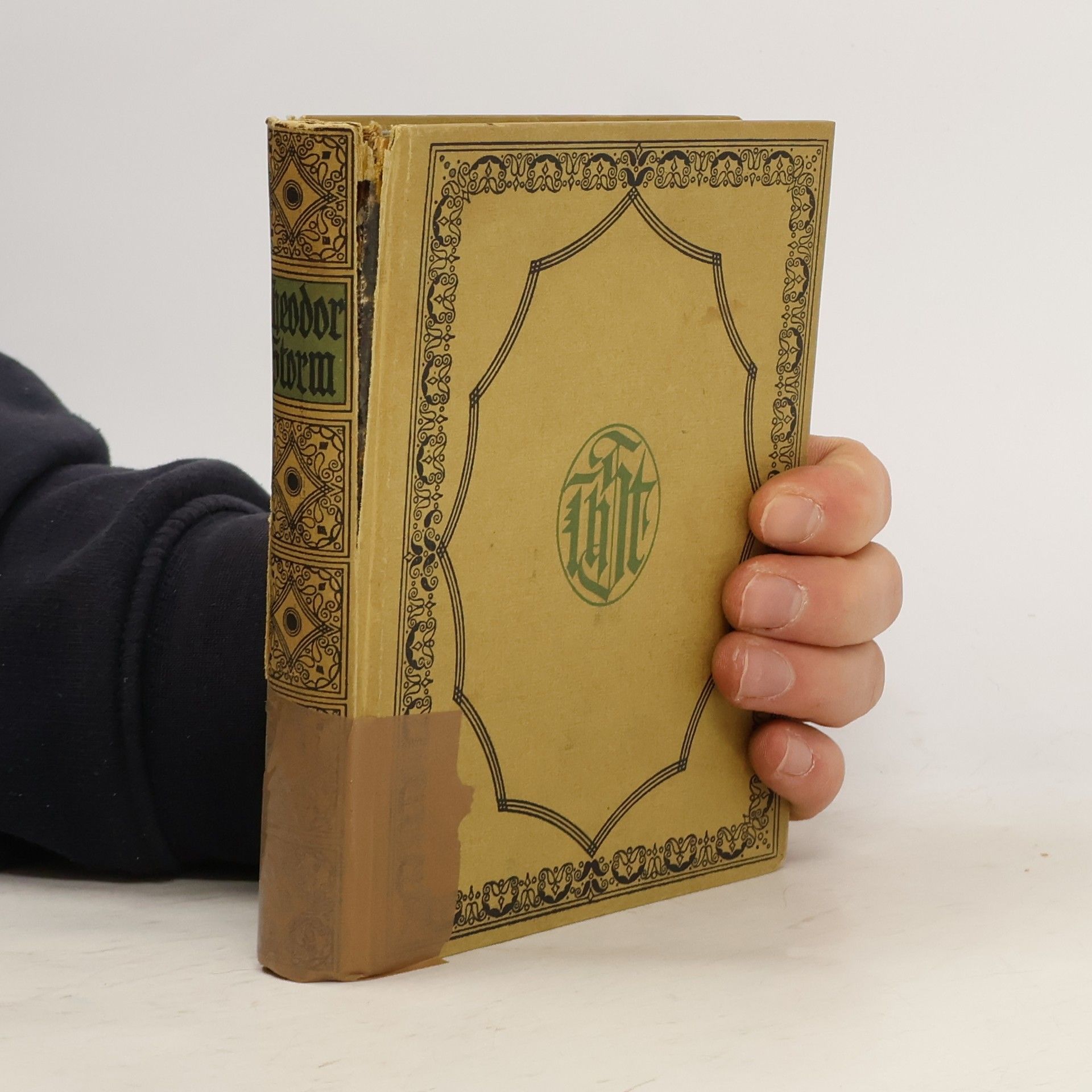 Theodor Storm Ausgewählte Werke 1