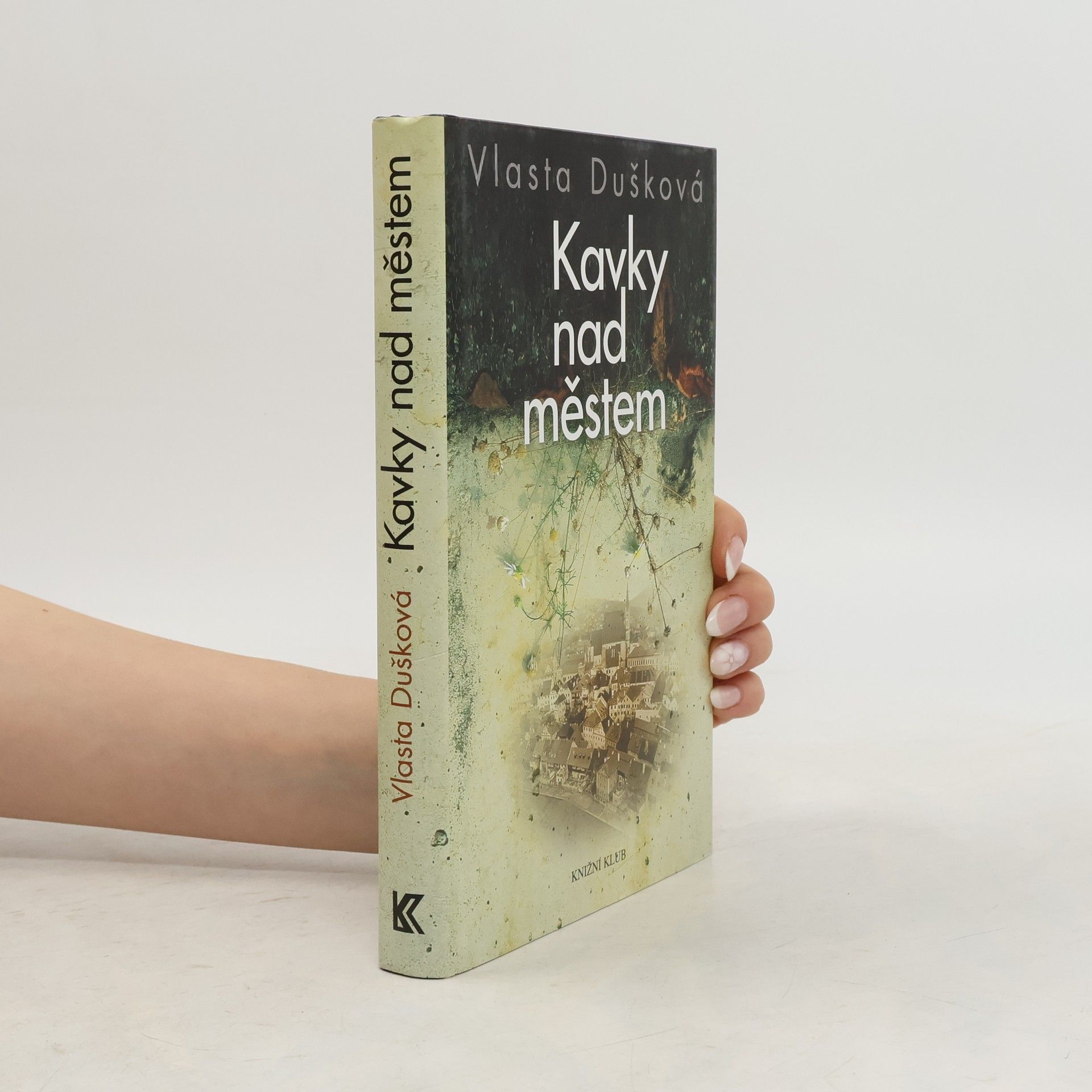 Vlasta Dušková Kavky nad městem