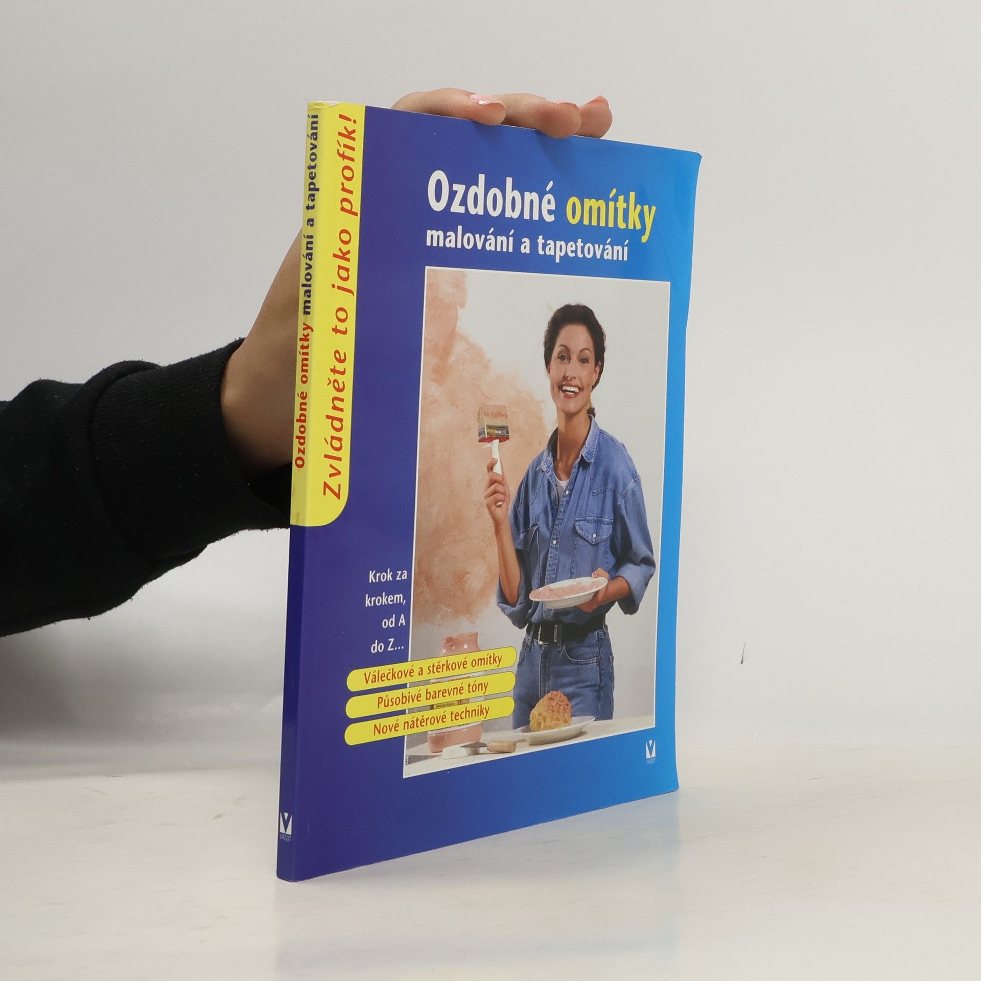 Autorenkollektiv Ozdobné omítky: Malování a tapetování Malování a tapetování