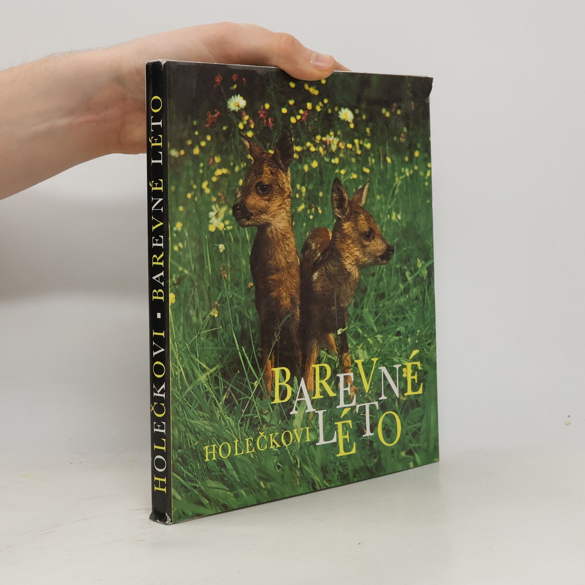 Autorenkollektiv Barvené léto