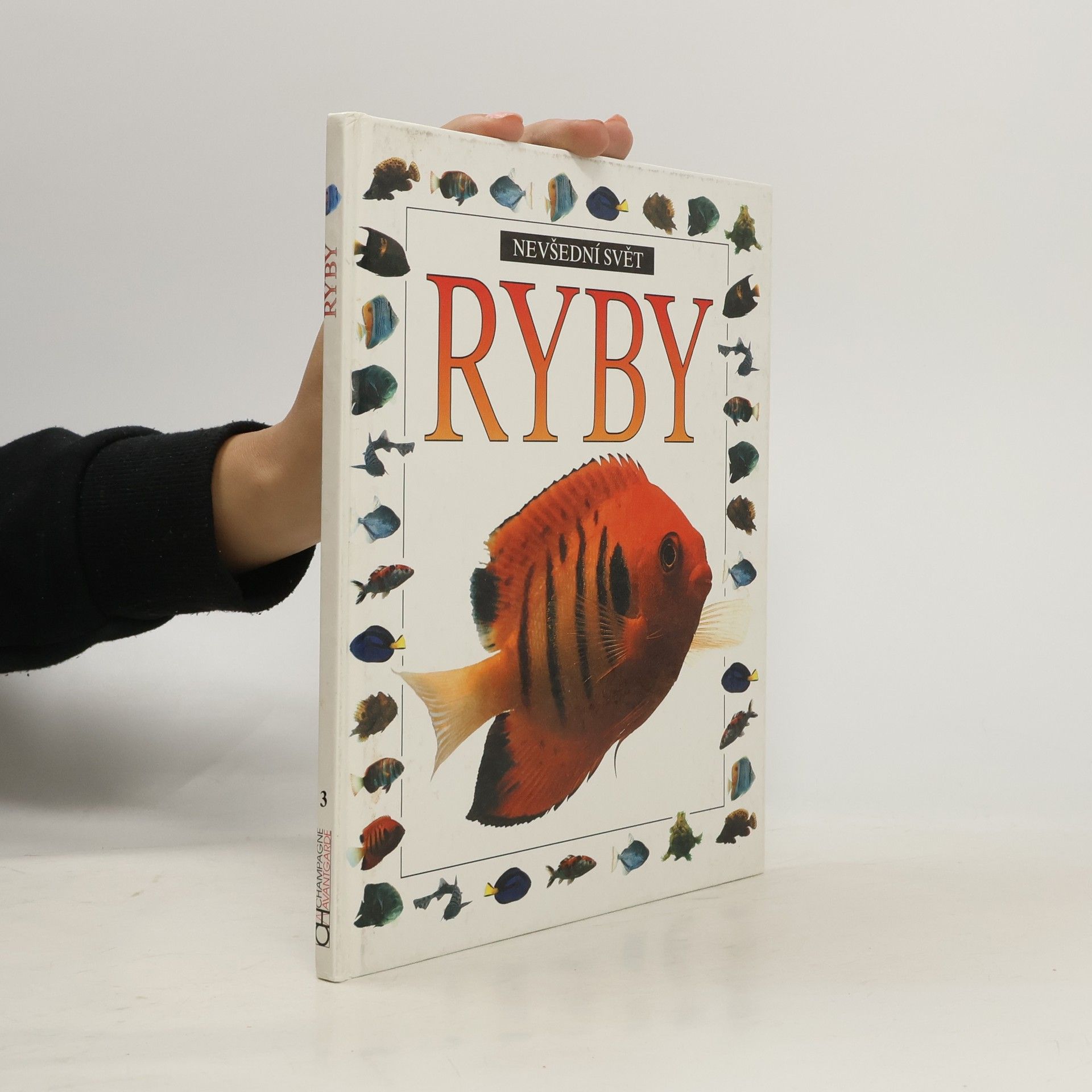 Autorenkollektiv Nevšední svět - Ryby