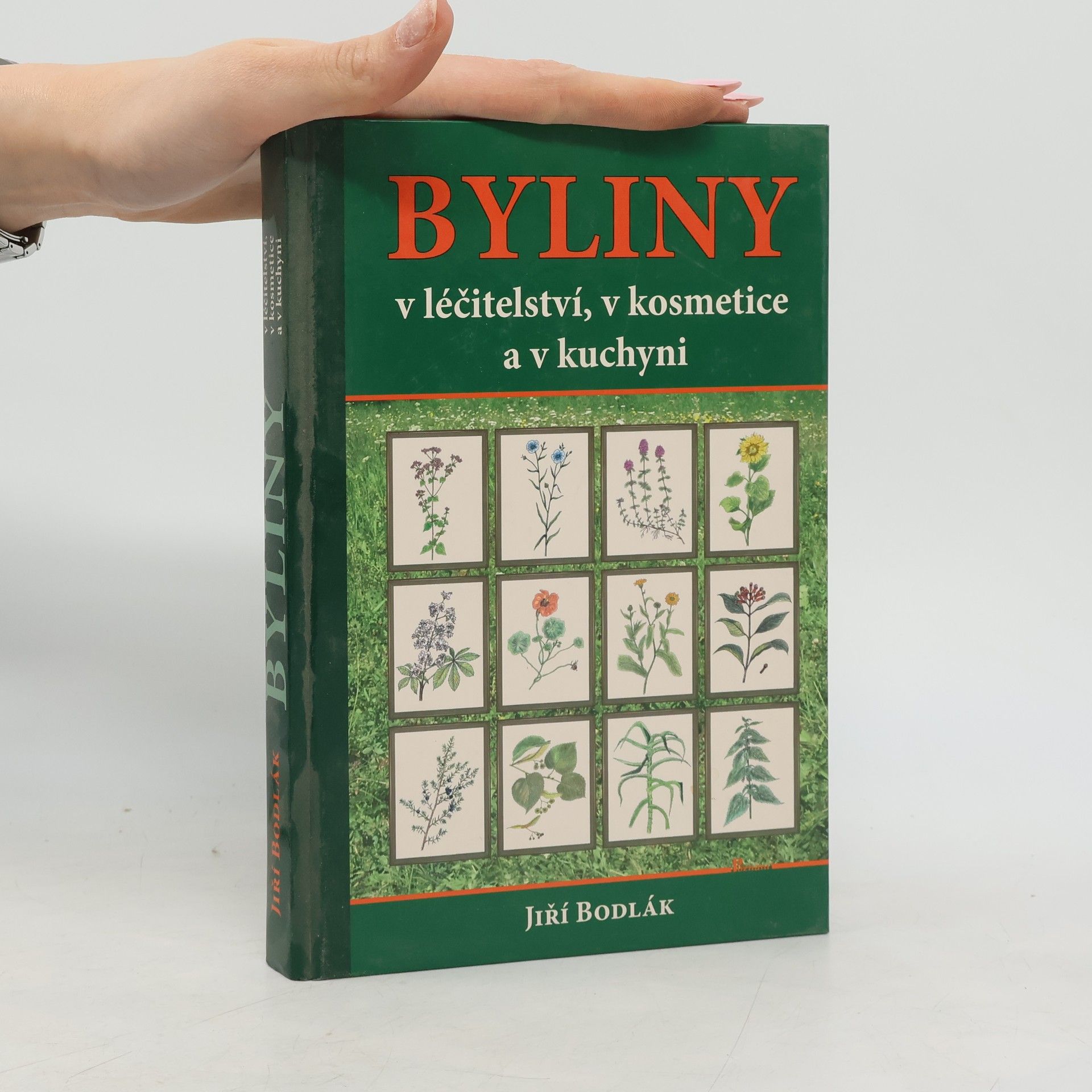 Jiří Bodlák Byliny v léčitelství, v kosmetice a v kuchyni