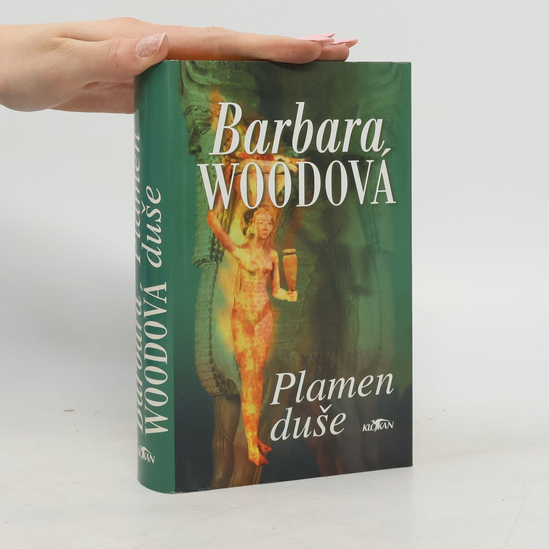 Barbara Wood Plamen duše