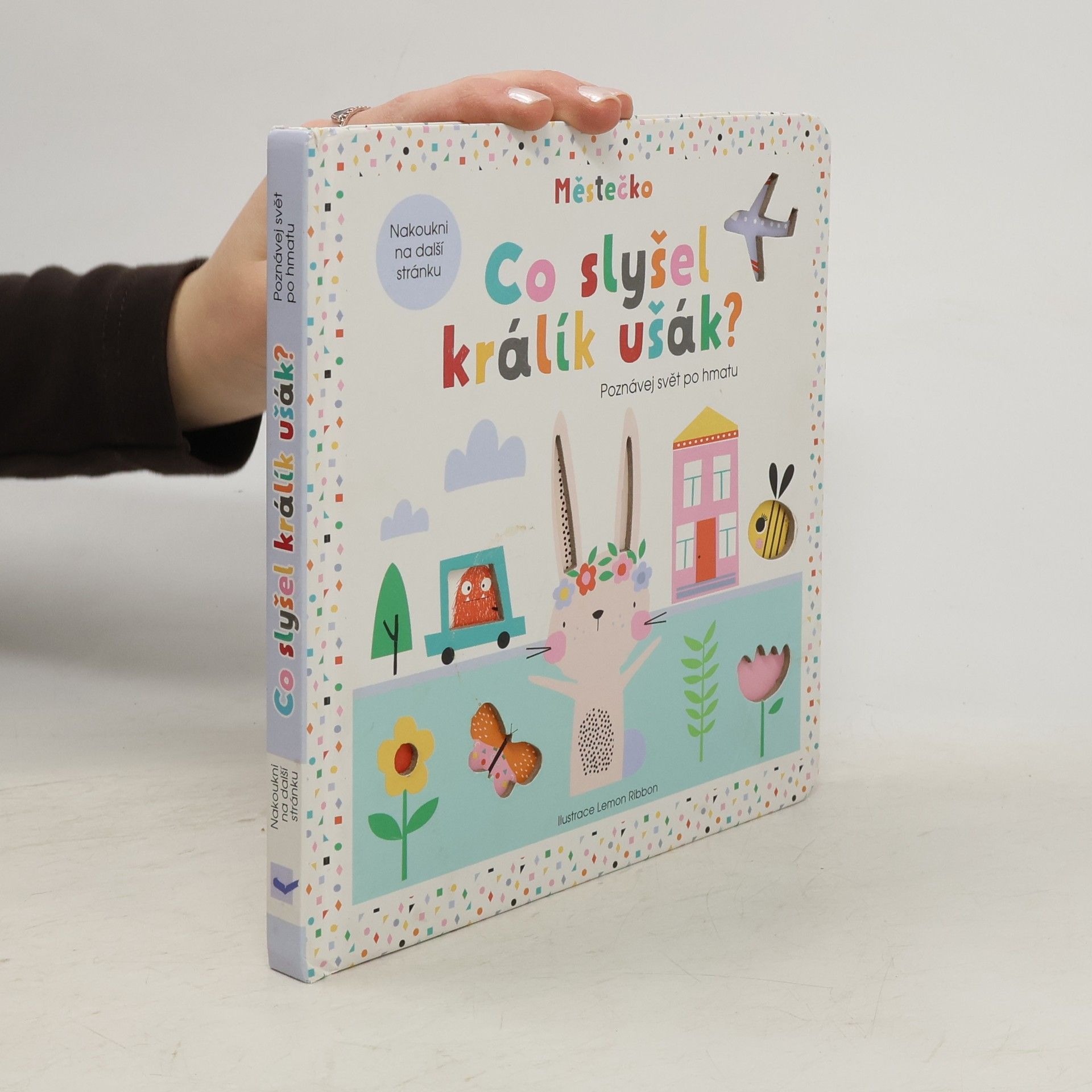 Graham Oakley Co slyšel králík ušák?