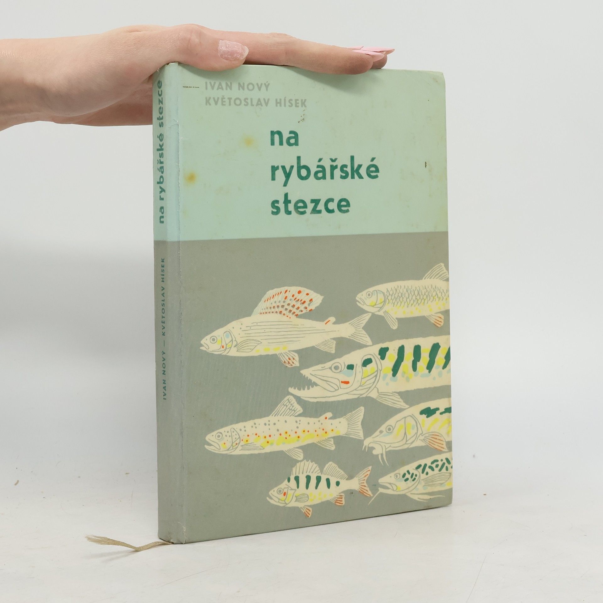 Květoslav Hísek Na rybářské stezce