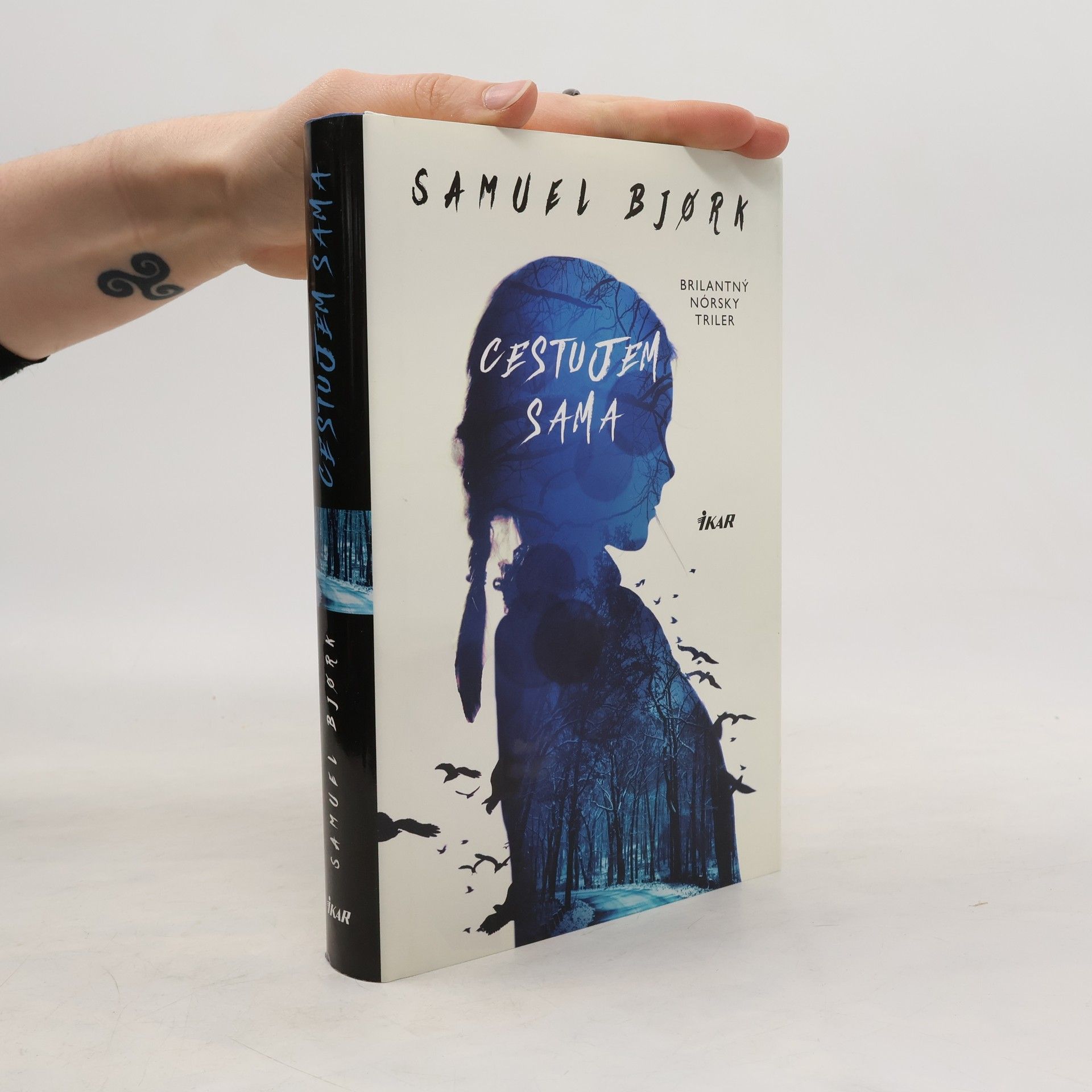 Samuel Bjork Cestujem sama