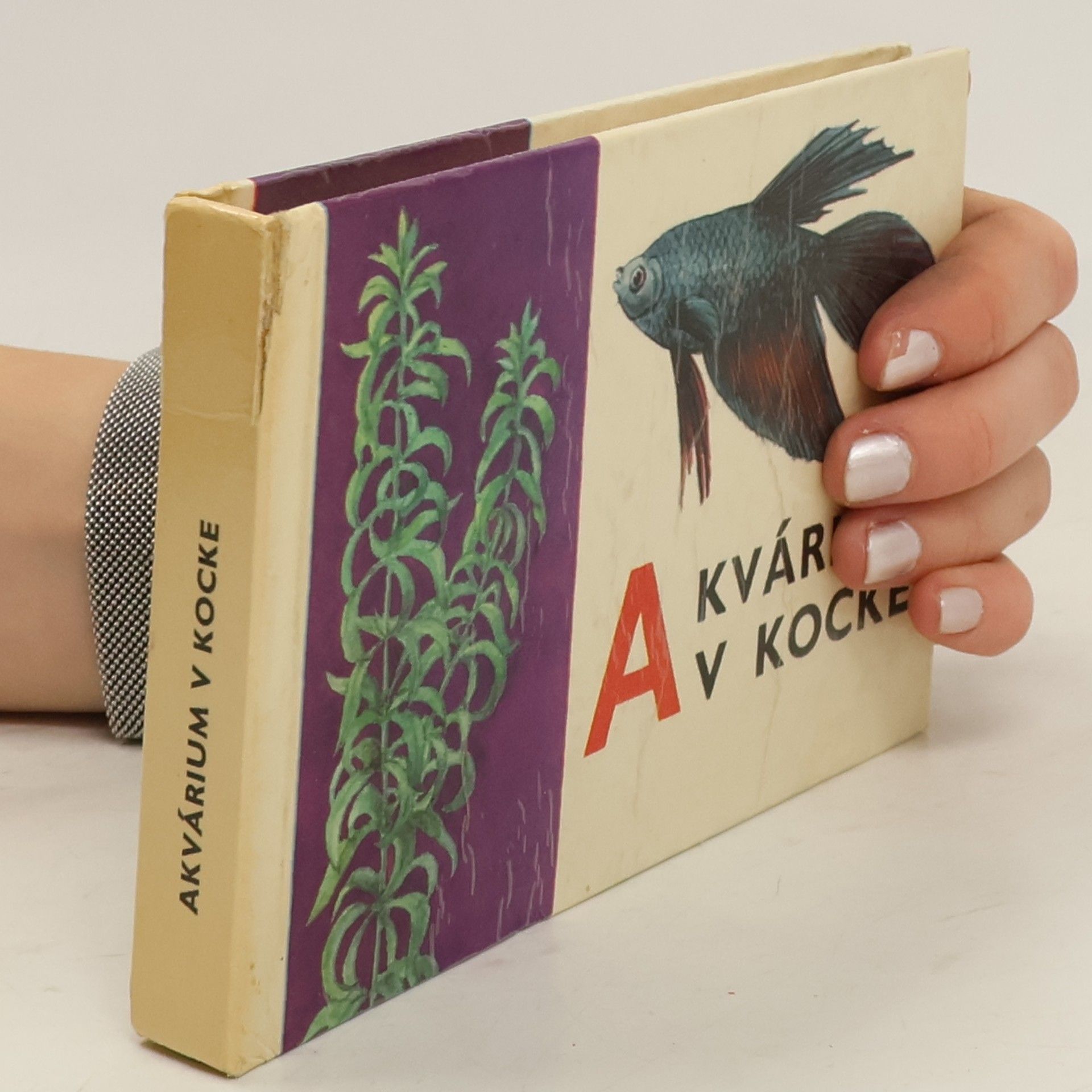 Ladislav Andódi Akvárium v kocke