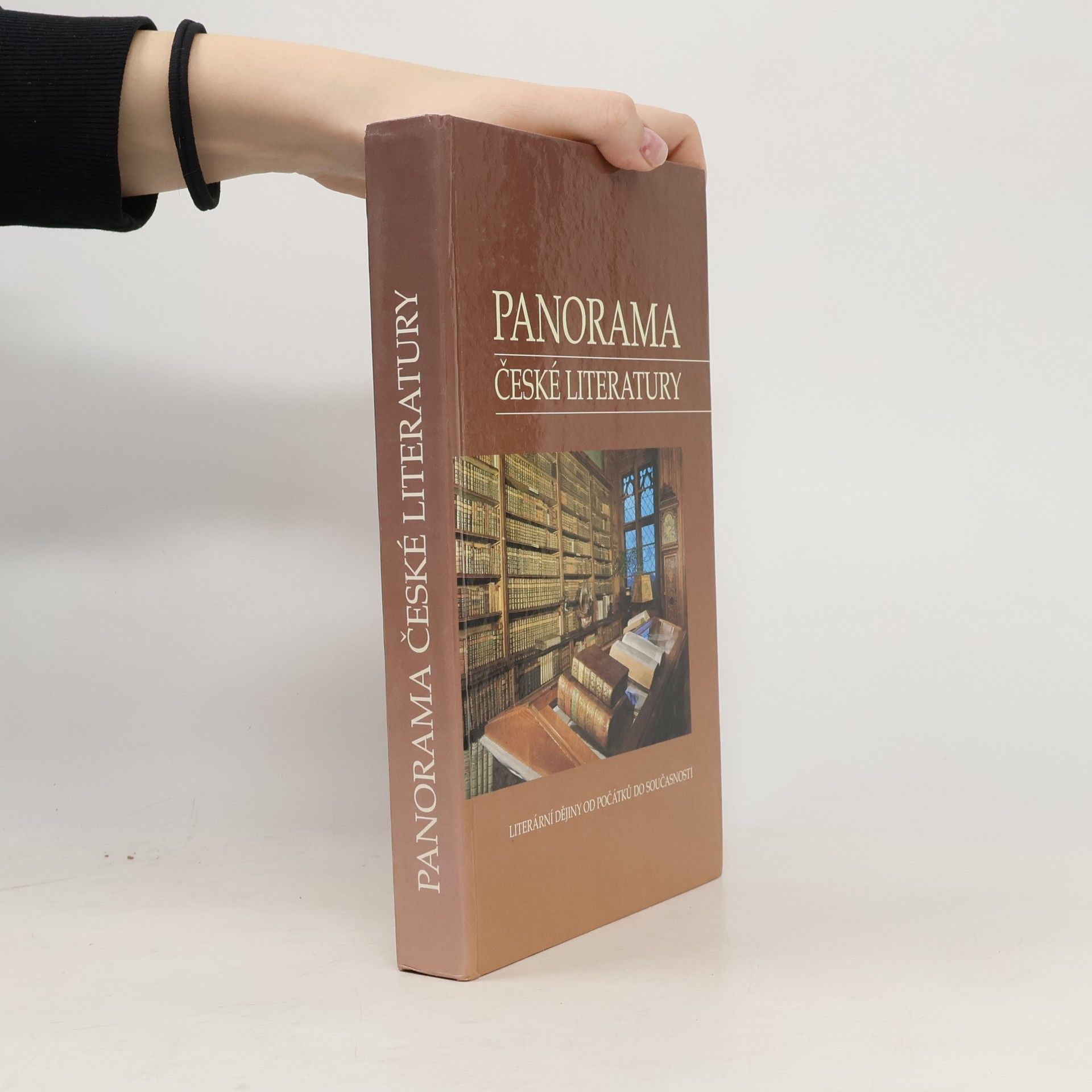 Josef Galík Panorama české literatury. Literární dějiny od počátků do současnosti