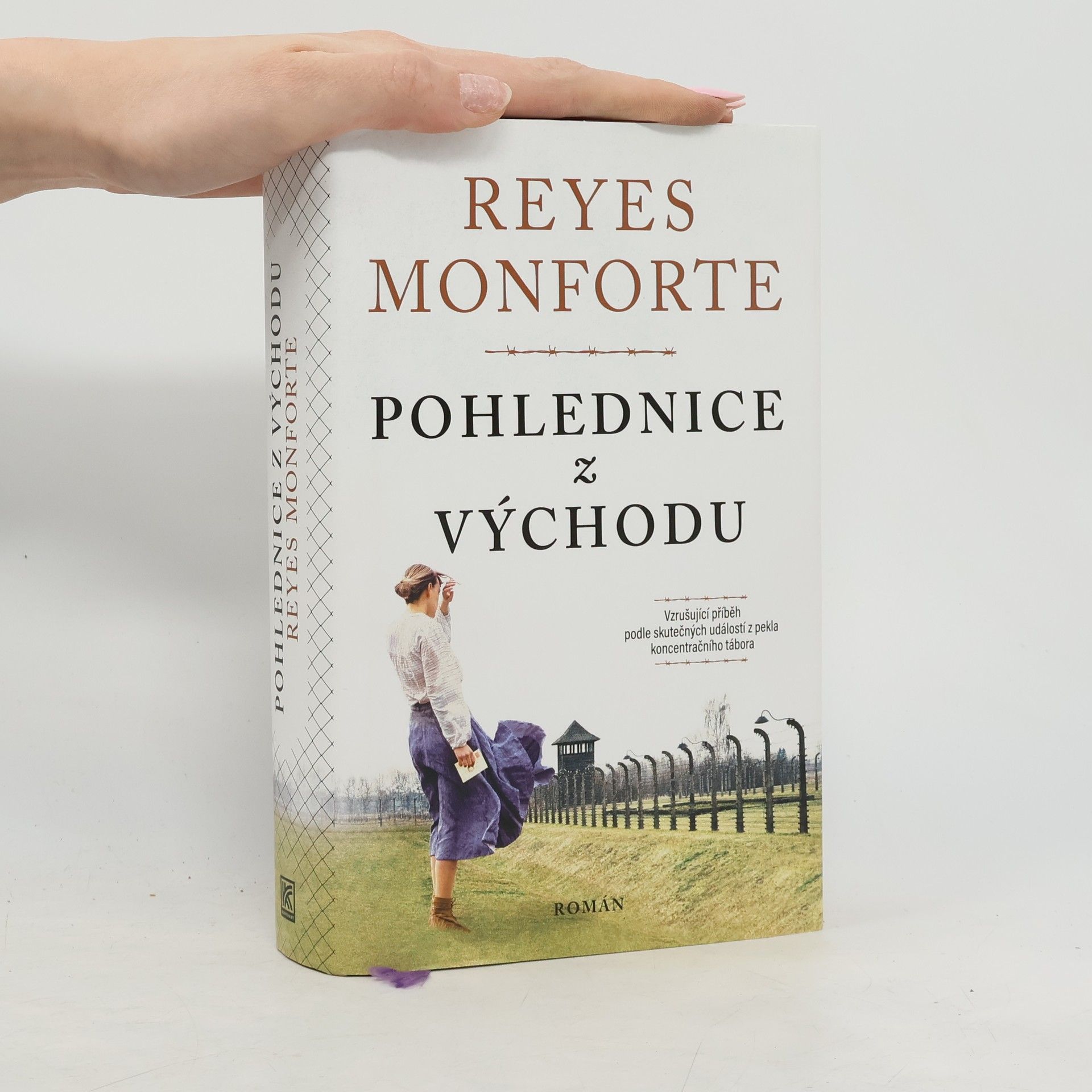 Reyes Monforte Pohlednice z Východu