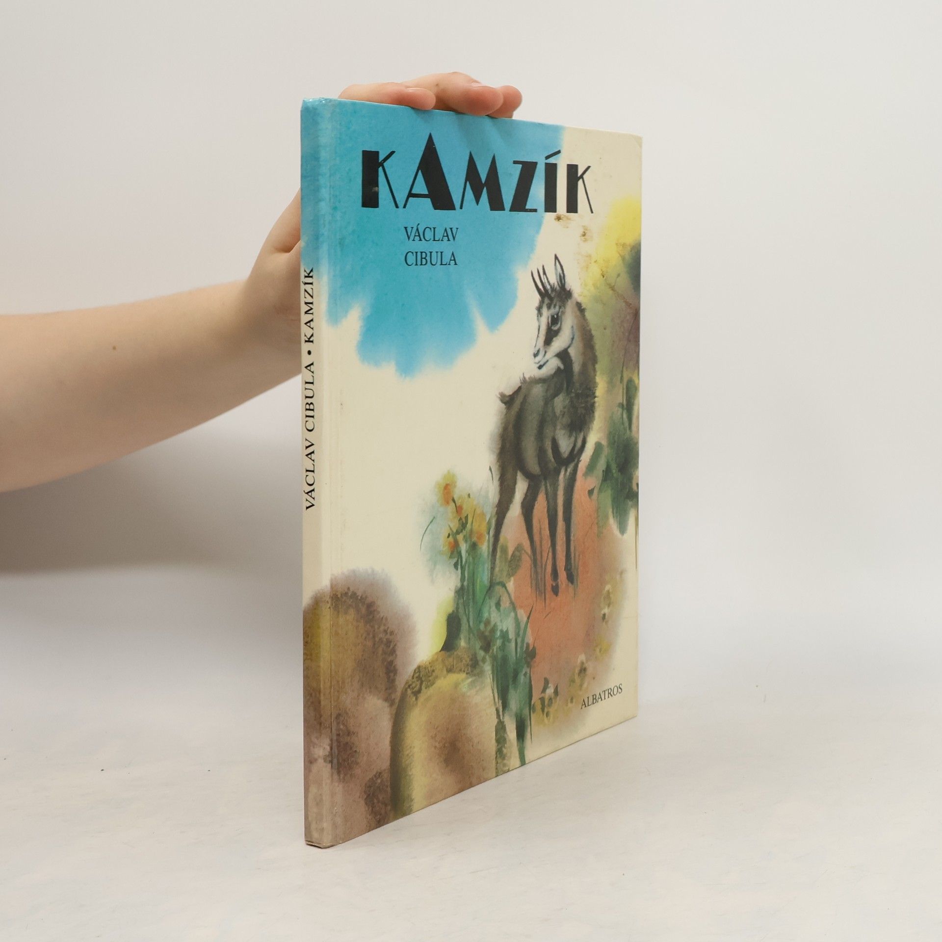 Václav Cibula Kamzík