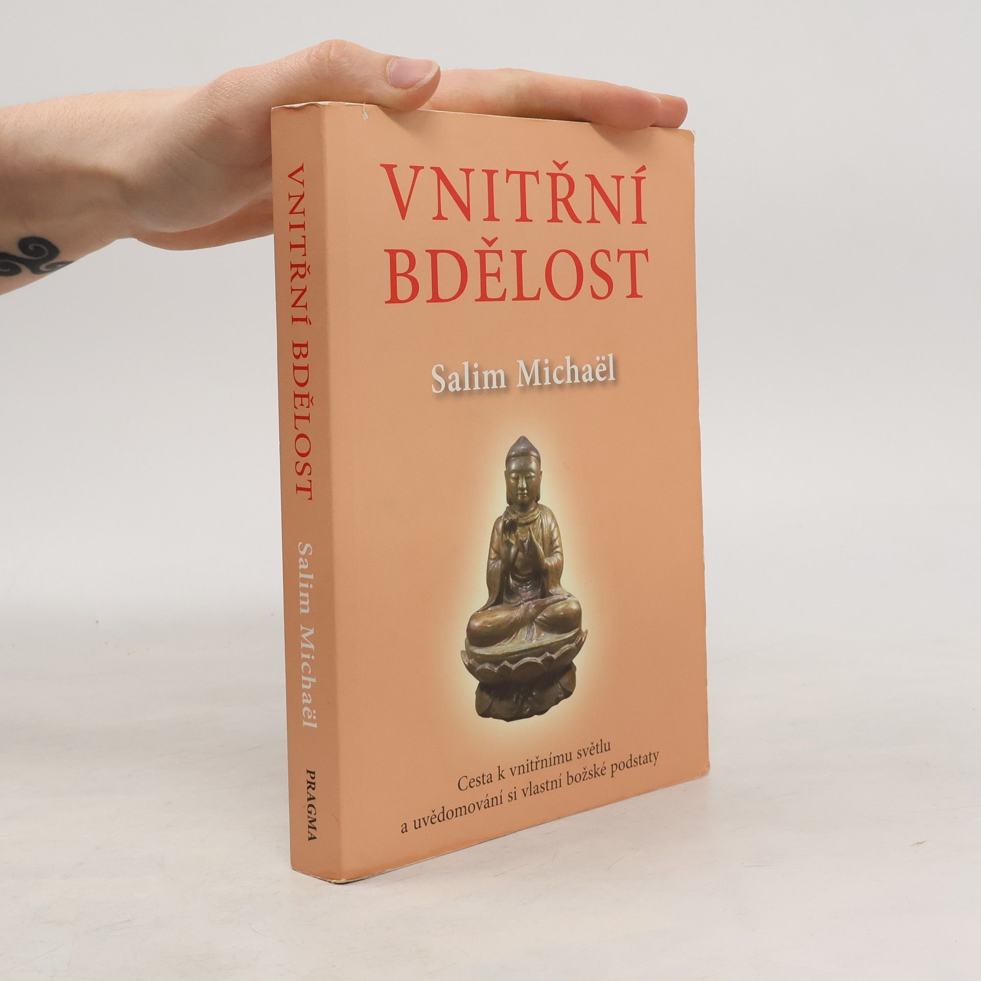 Salim Michaël Vnitřní bdělost : cesta k vnitřnímu světlu a uvědomování si vlastní podstaty