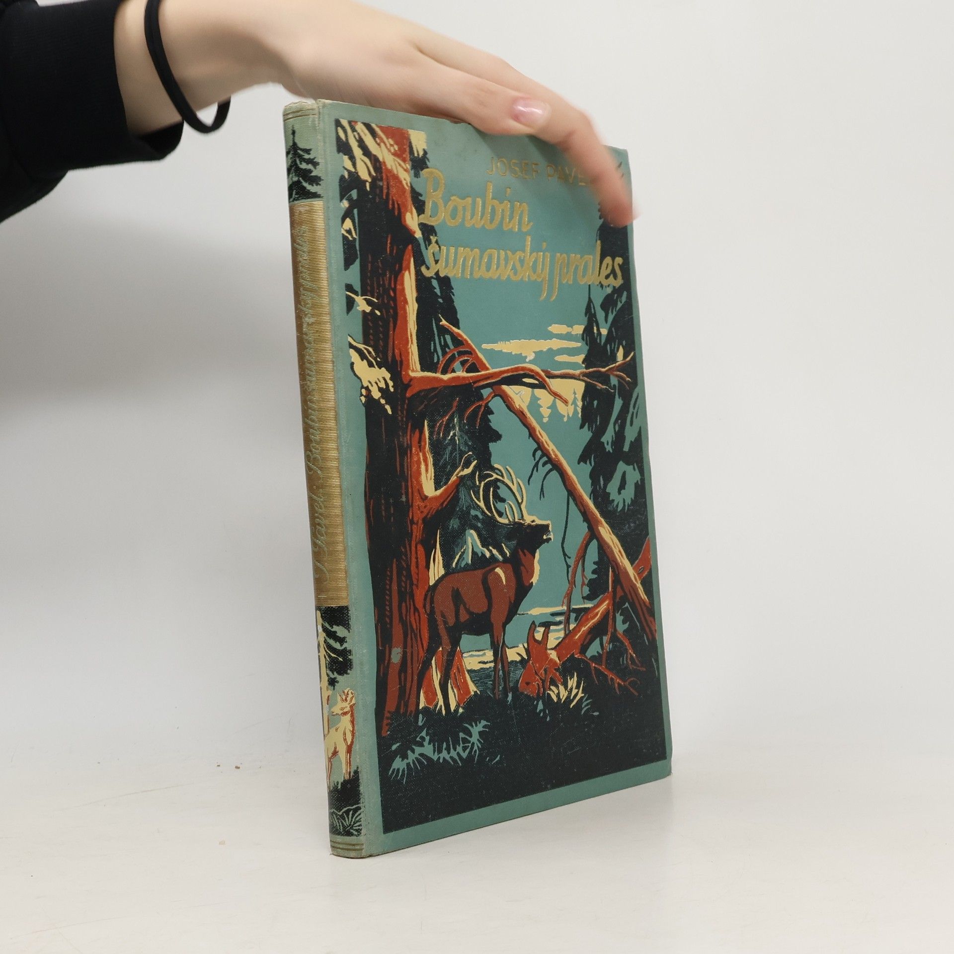 Josef Pavel Boubín. Šumavský prales