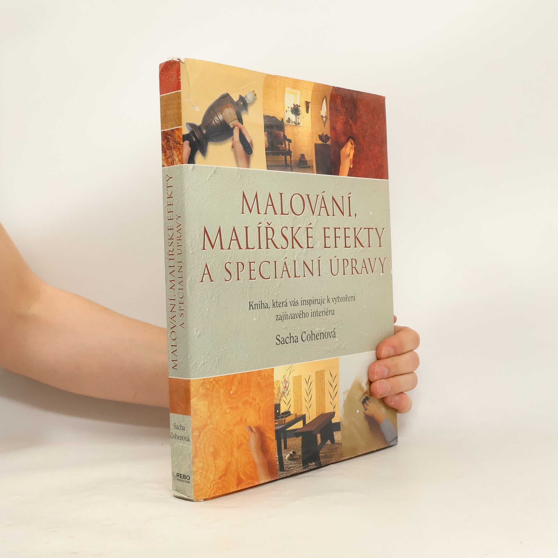 Sacha Cohen Malování, malířské efekty a speciální úpravy. Kniha, která vás inspiruje k vytvoření zajímavého interiéru