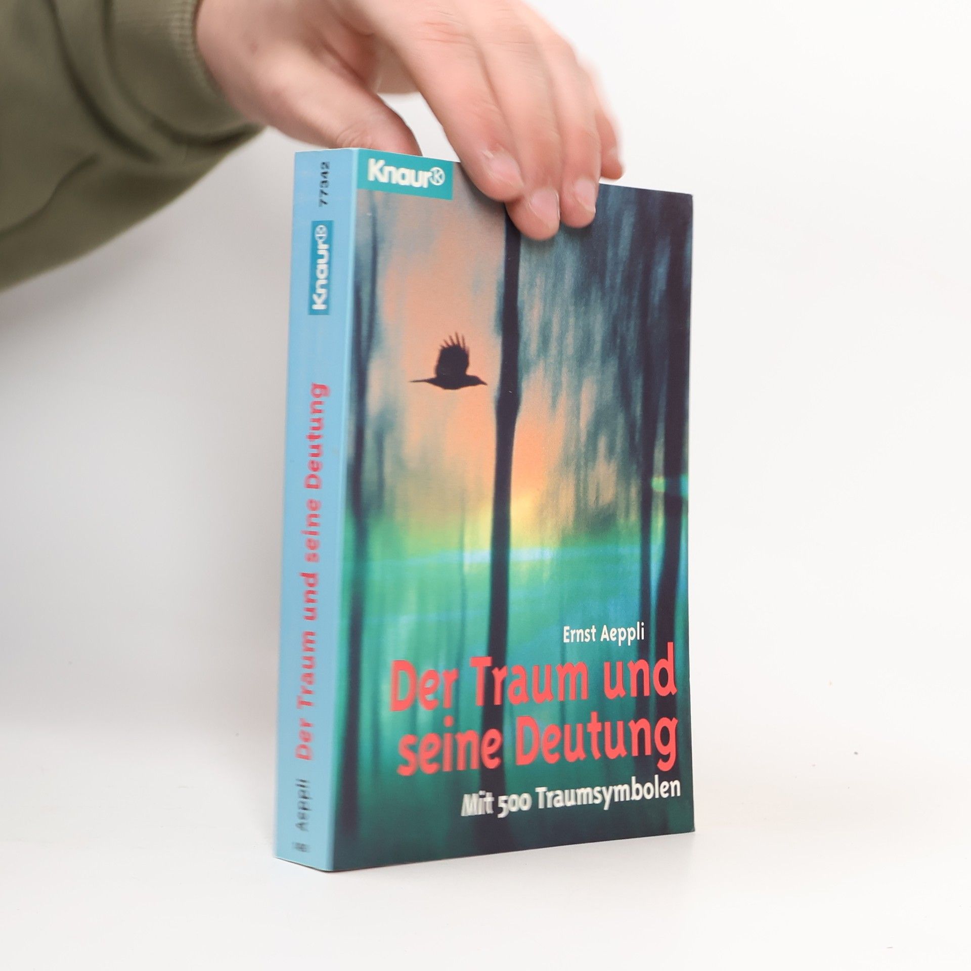 Der Traum und seine Deutung. Mit 500 Traumsymbolen