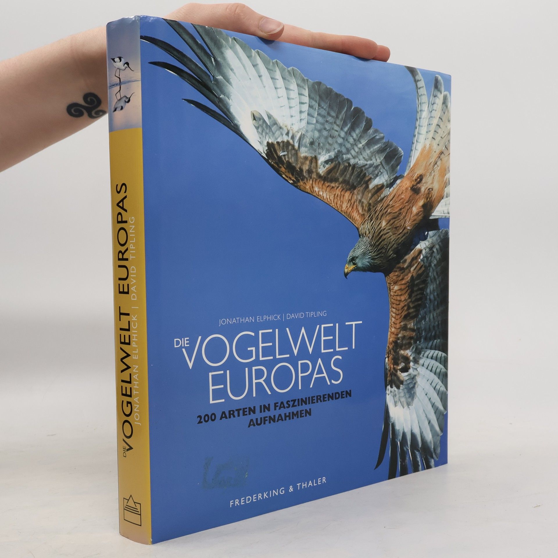 Die Vogelwelt Europas