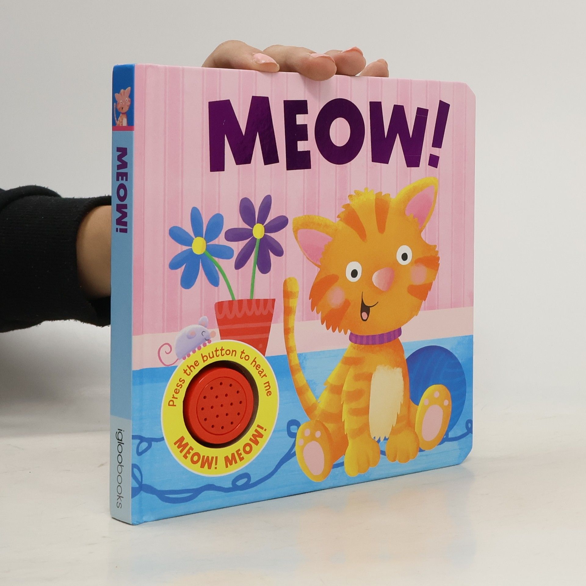 Farsa Chaudhry Meow!