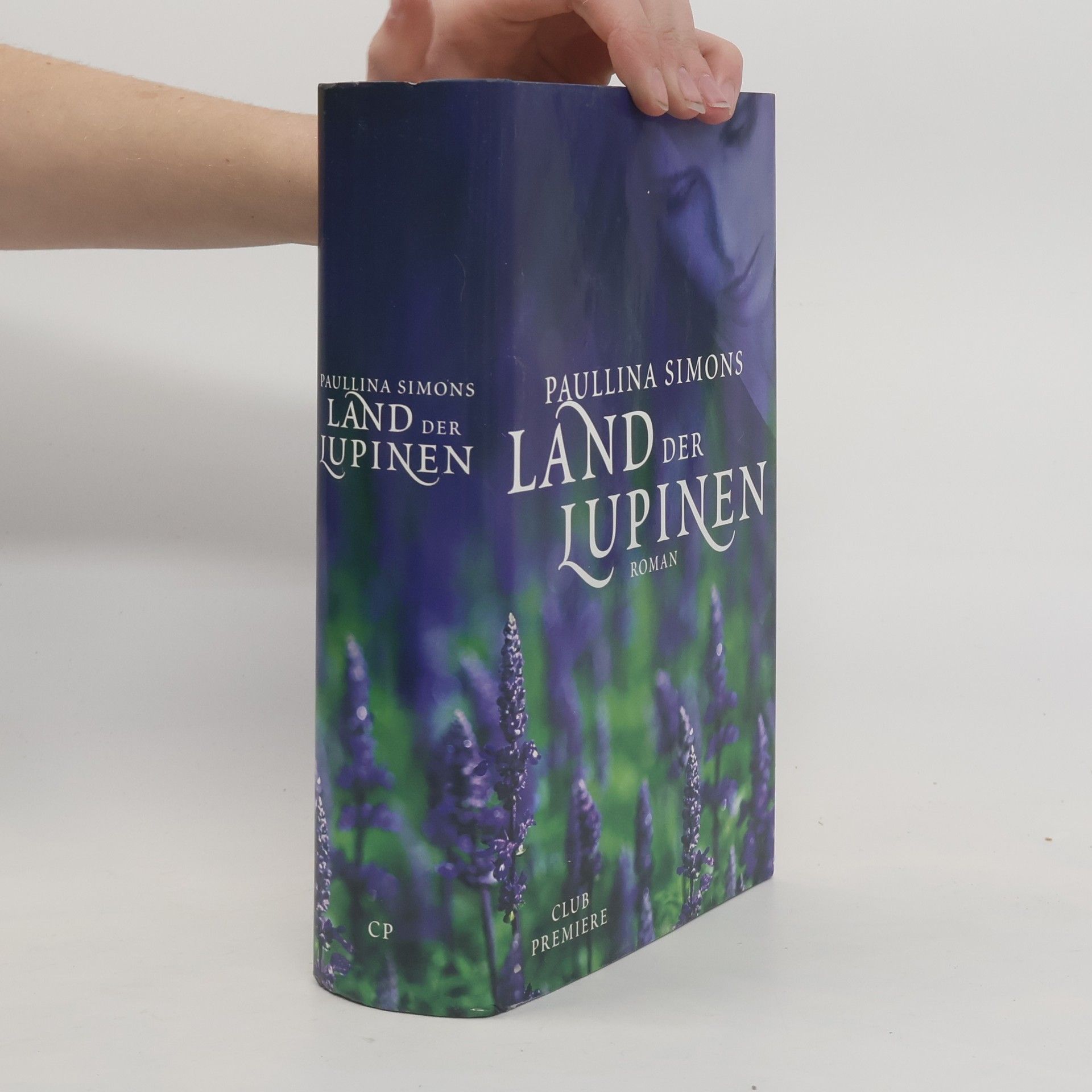 Paullina Simons Land der Lupinen