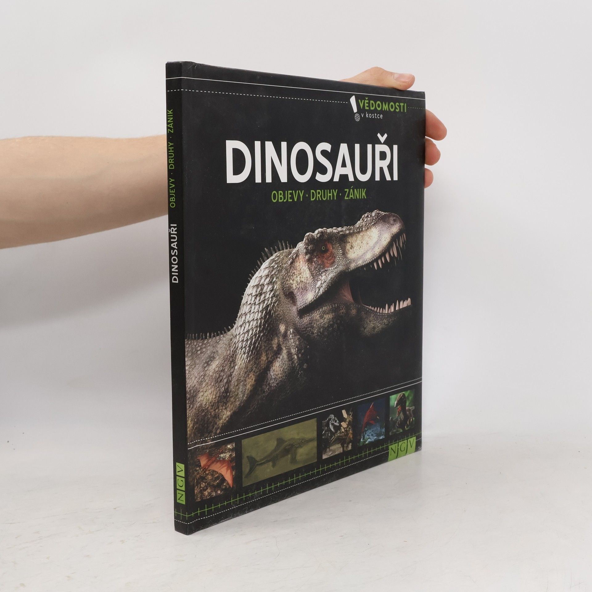 Autorenkollektiv Dinosauři