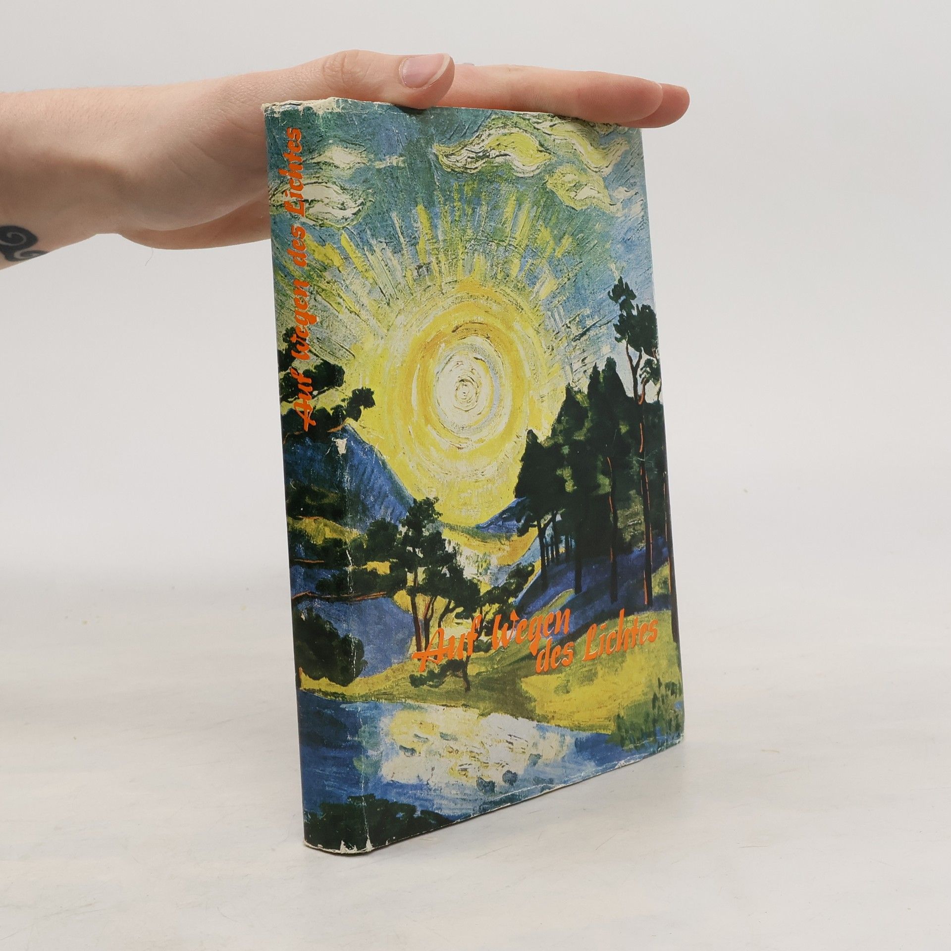 Maria Viola Wildenhain Auf wegen des Lichtes