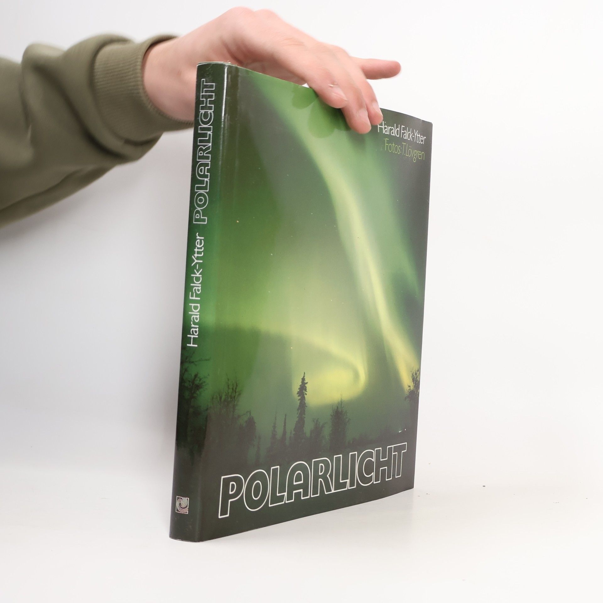 Harald Falck Ytter Das Polarlicht