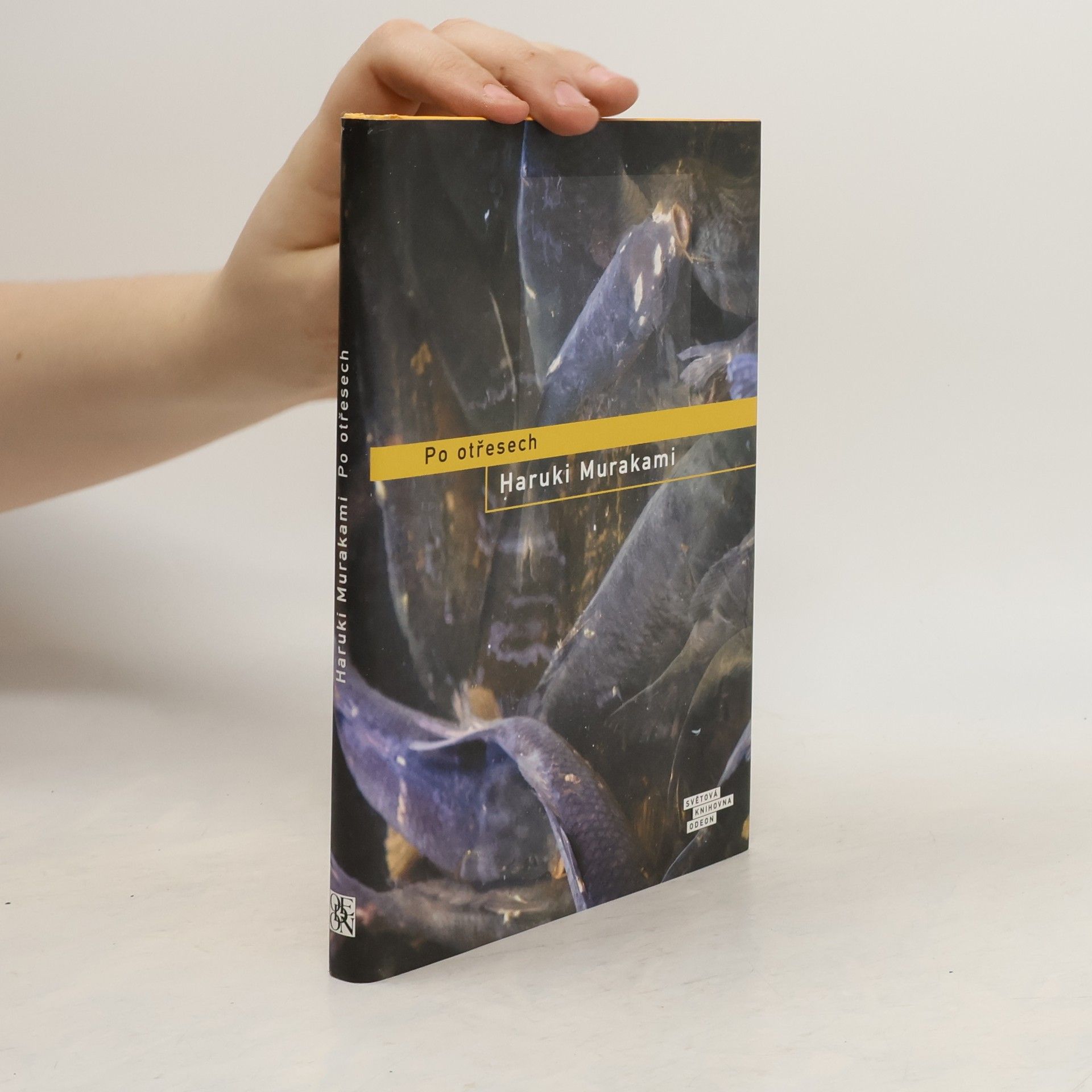 Haruki Murakami Po otřesech