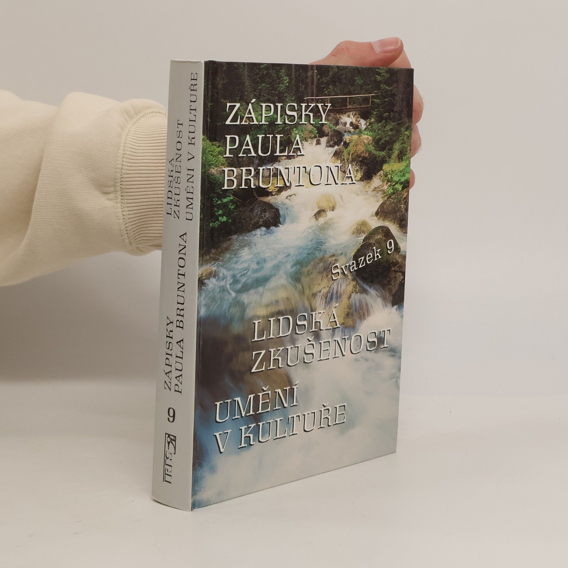 Paul Brunton Zápisky Paula Bruntona 9. Lidská zkušenost. Umění v kultuře