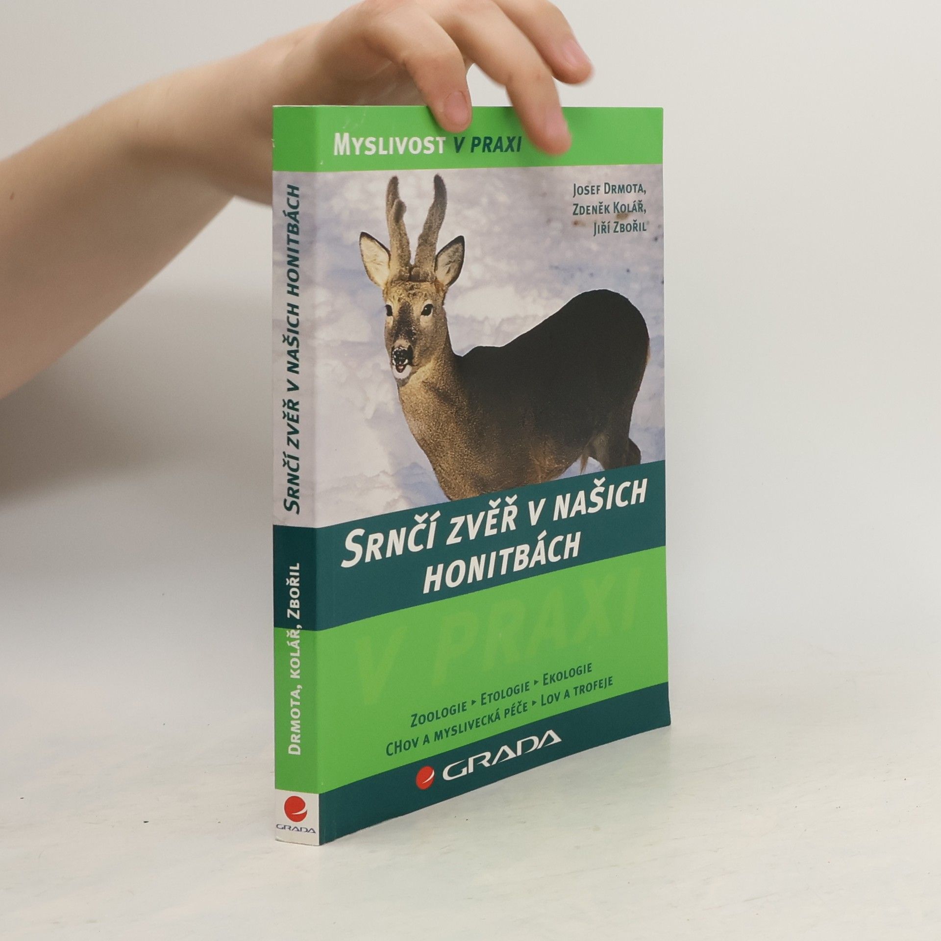 Srnčí zvěř v našich honitbách