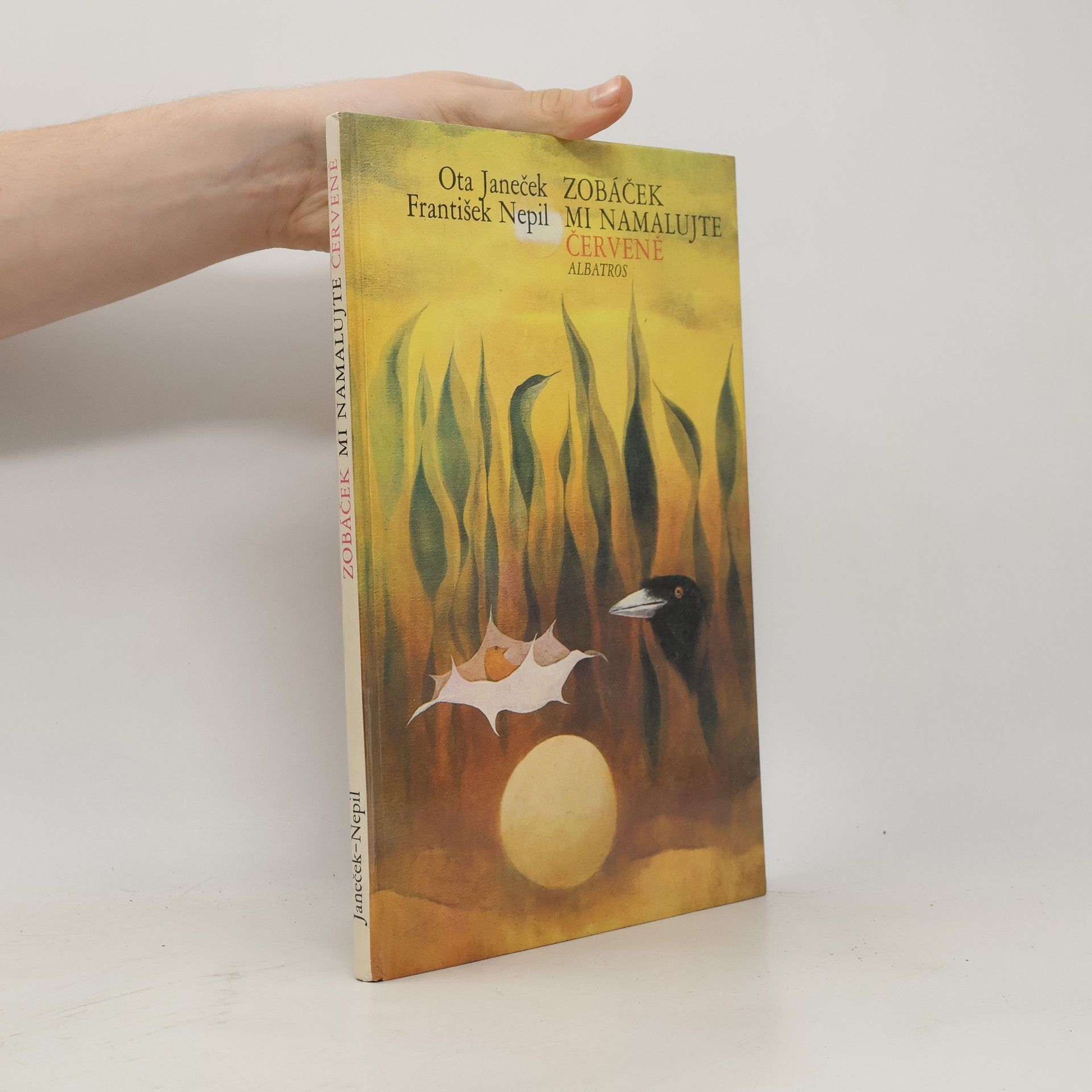 Zobáček mi namalujte červeně