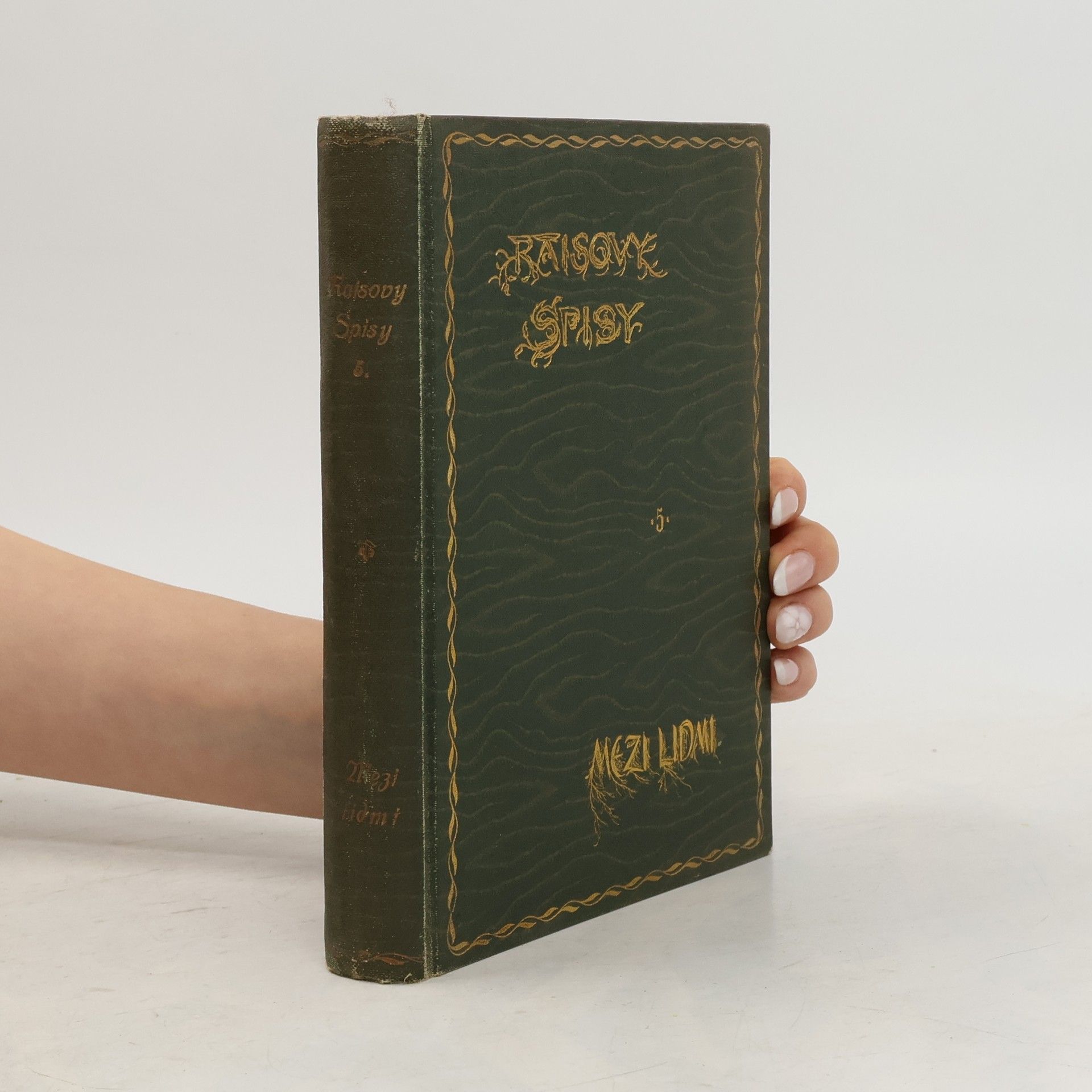 Karel Václav Rais Raisovy spisy 5. Mezi lidmi