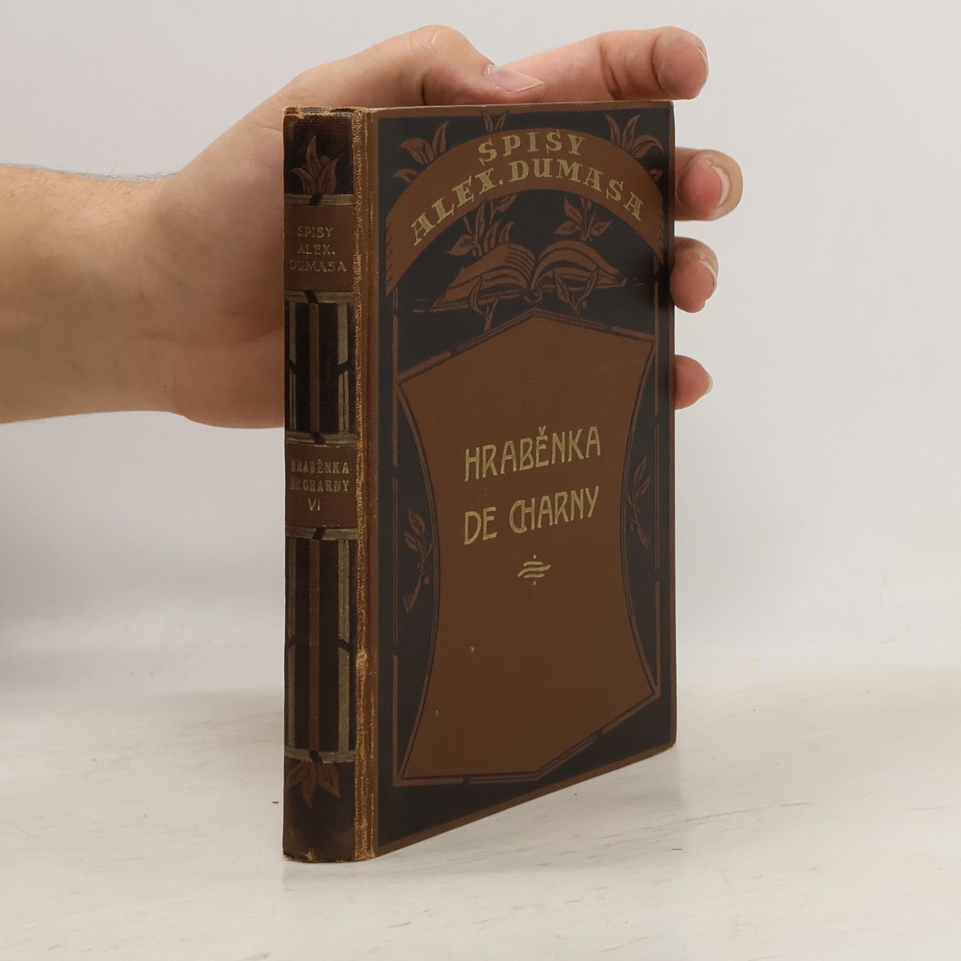 Alexandre Dumas Hraběnka de Charny VI.