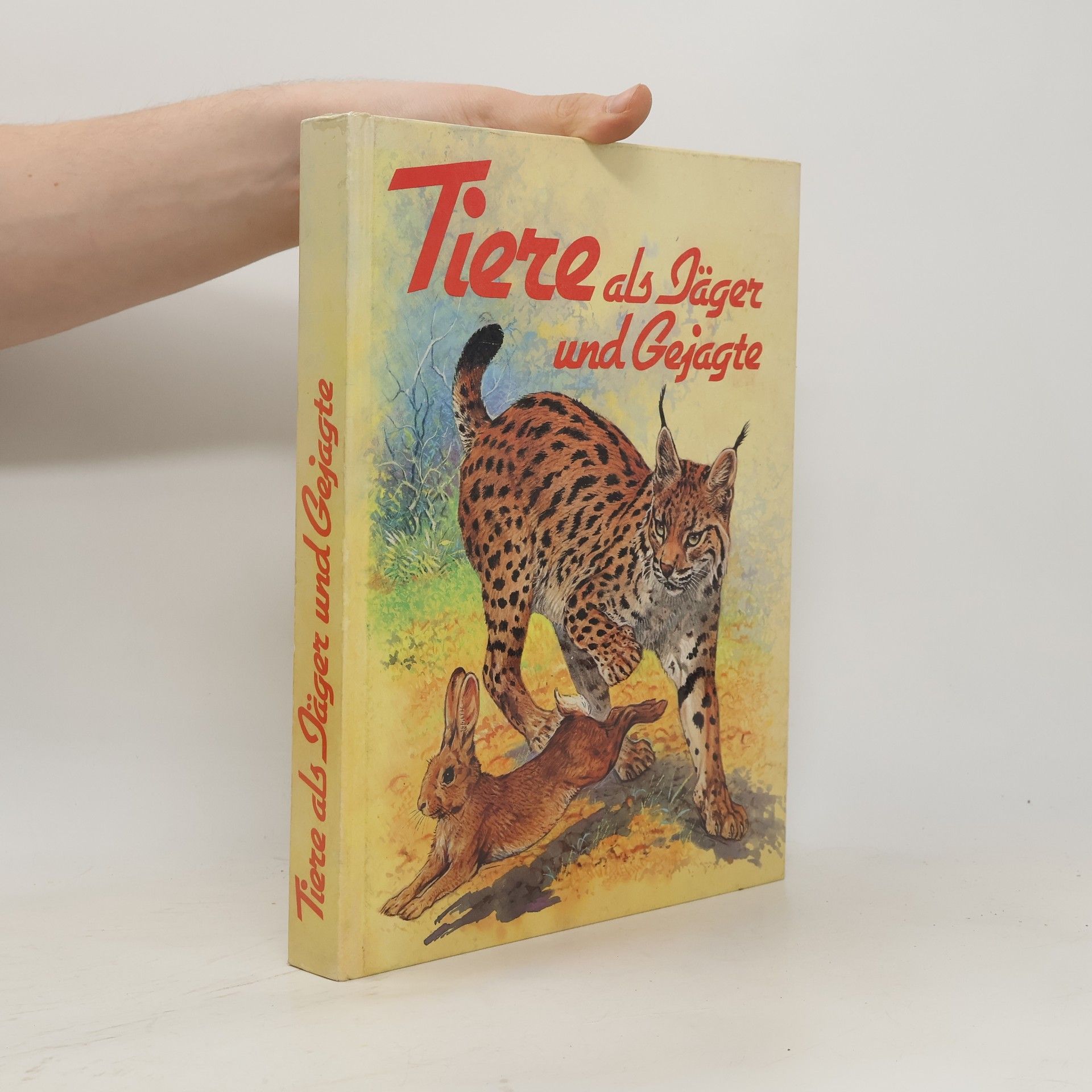 Autores varios Tiere als Jäger und Gejagte