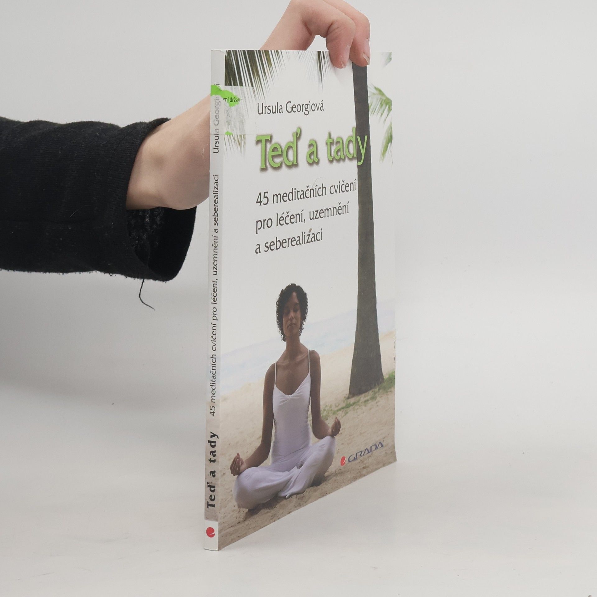 Ursula Georgii Teď a tady. 45 meditačních cvičení pro léčení, uzemnění a seberealizaci